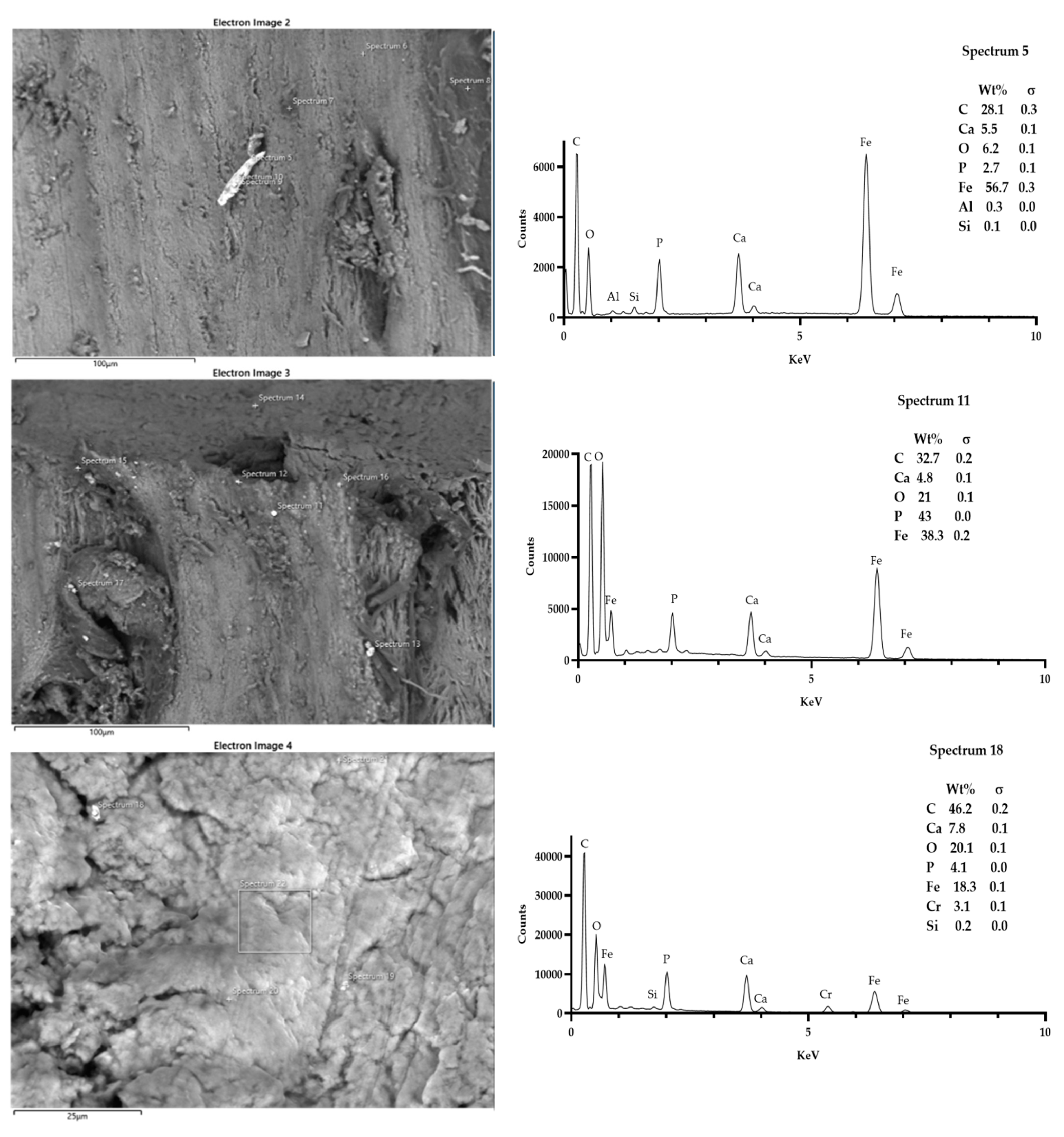 Coatings 12 00240 g008