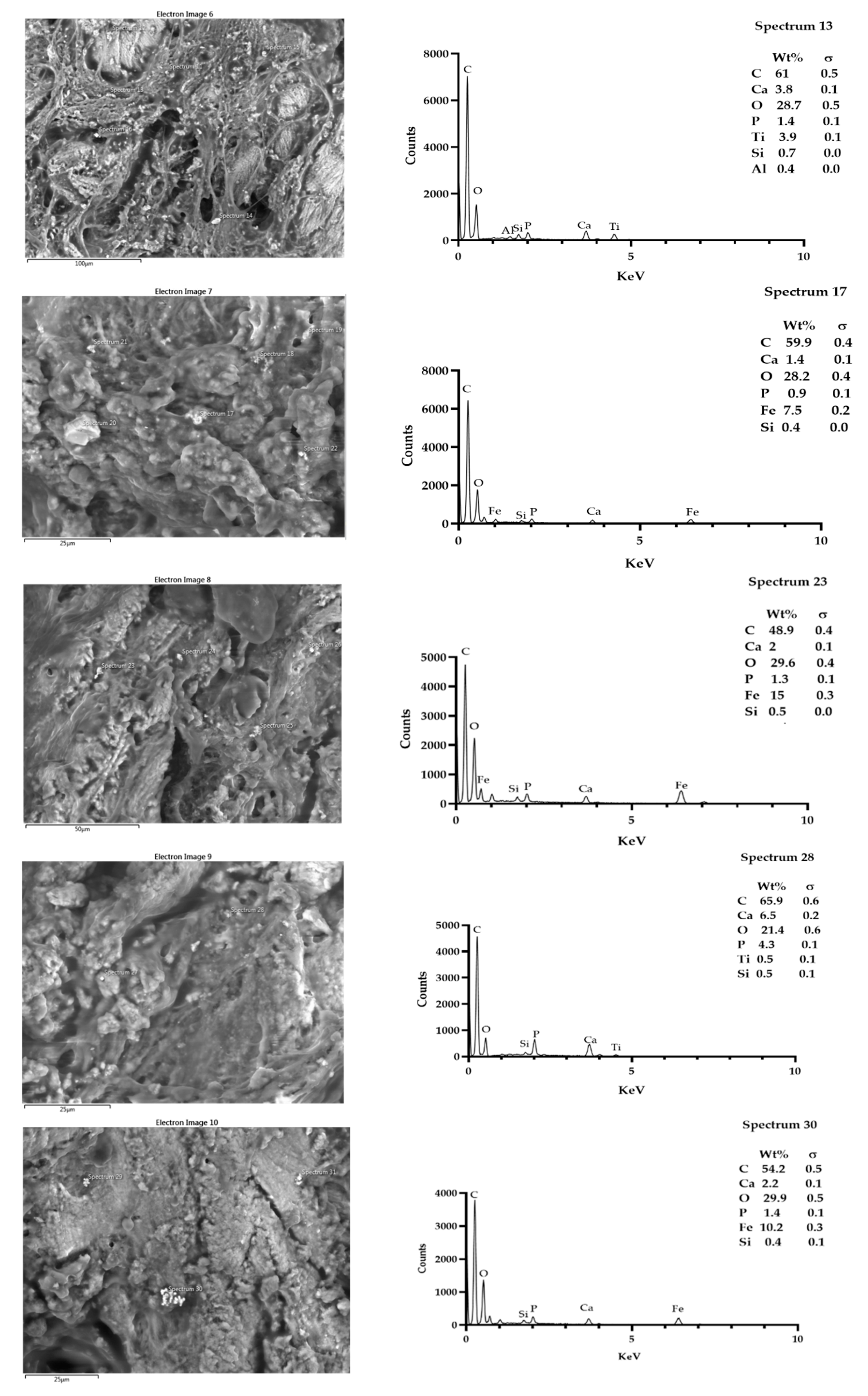 Coatings 12 00240 g009