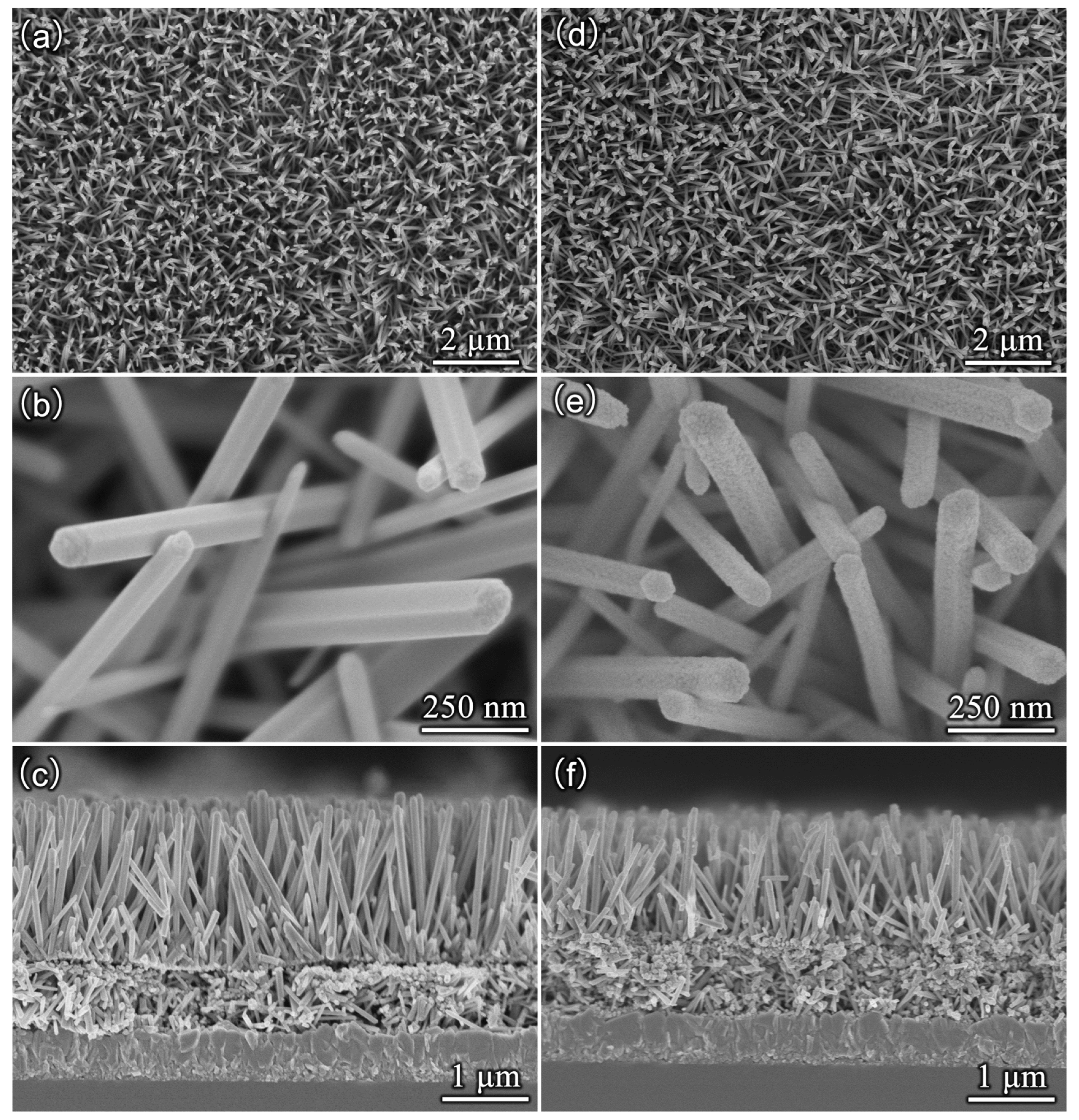 Coatings 12 00244 g002