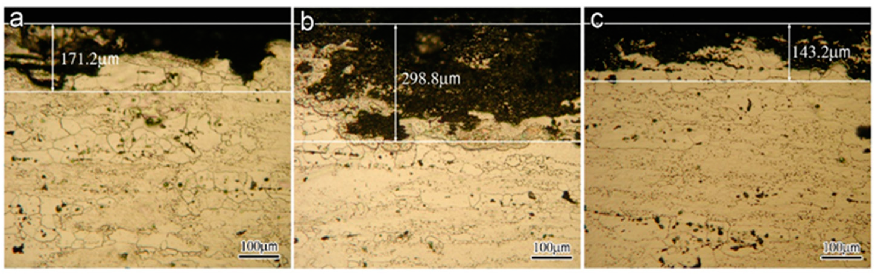 Coatings 12 00249 g001