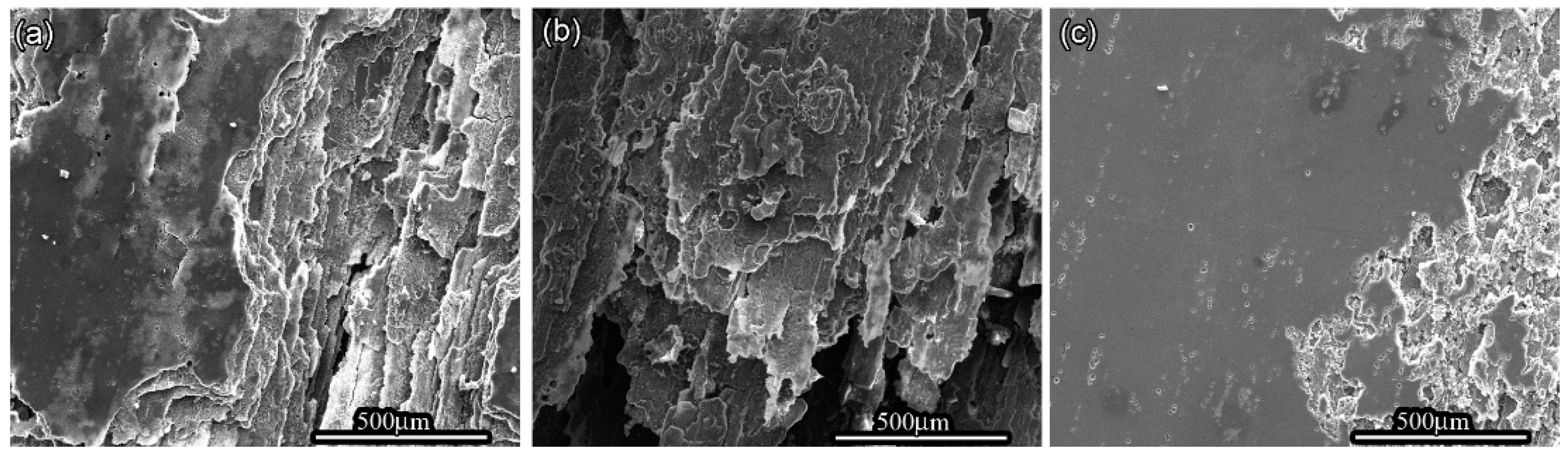 Coatings 12 00249 g002
