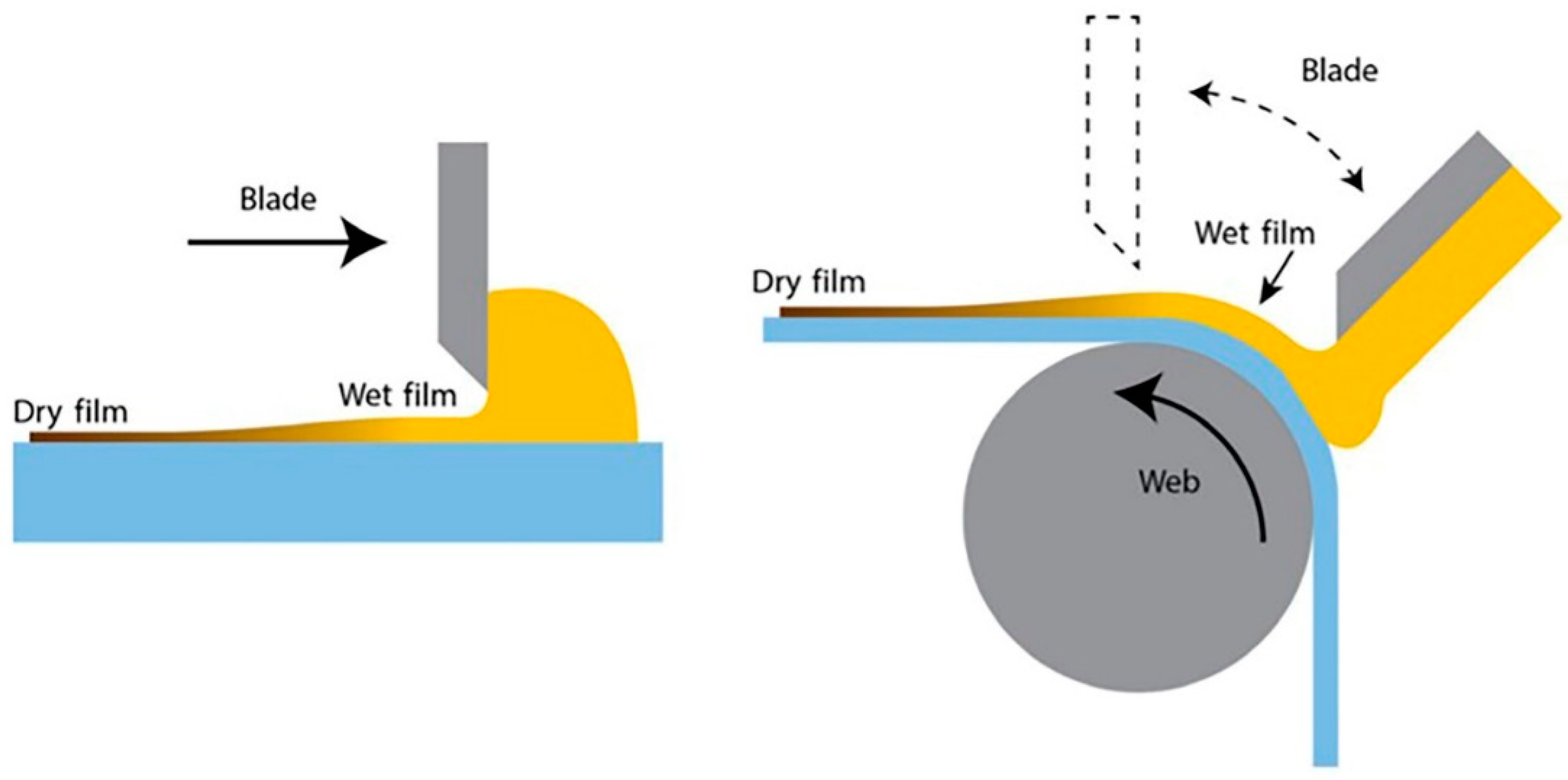 Coatings 12 00252 g006