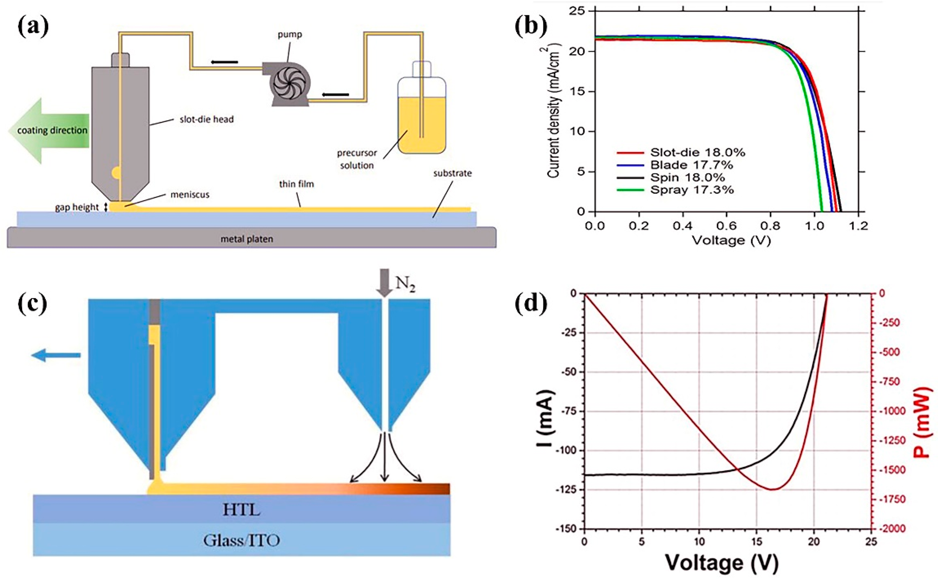 Coatings 12 00252 g007