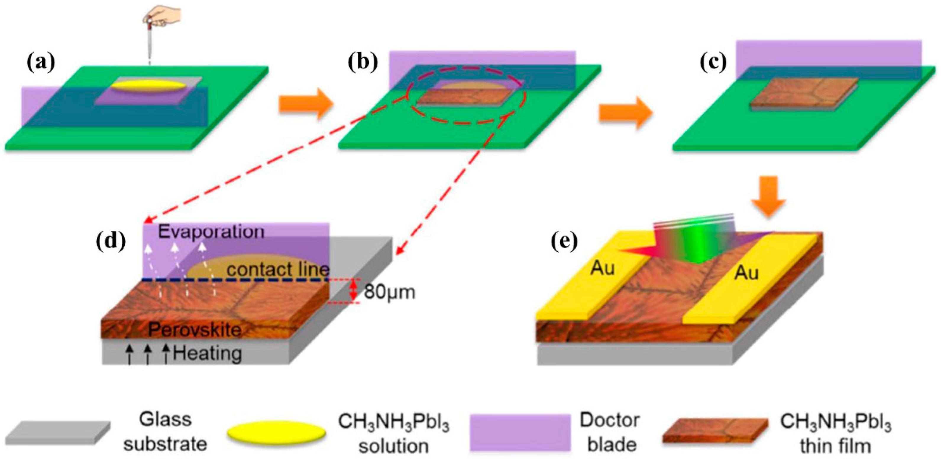 Coatings 12 00252 g008