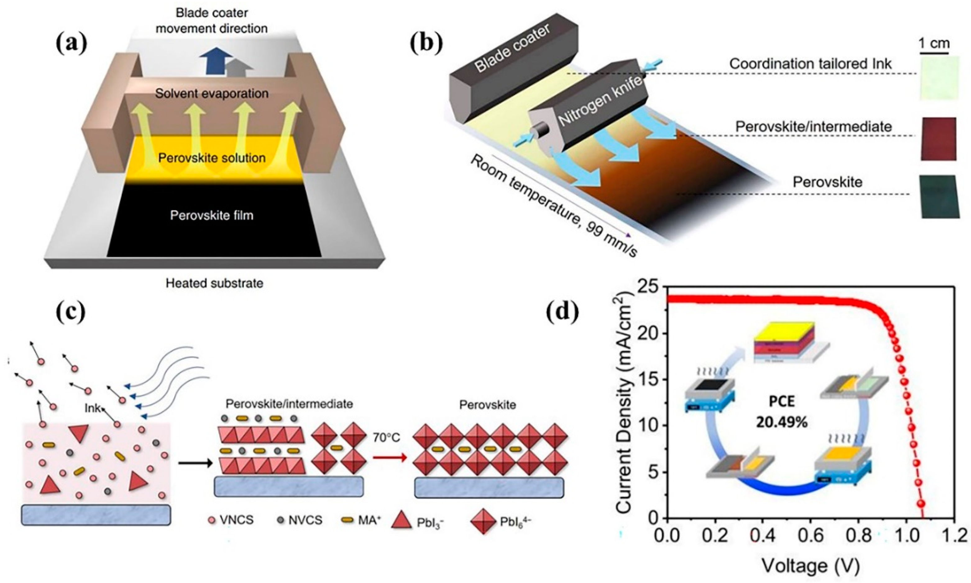 Coatings 12 00252 g009