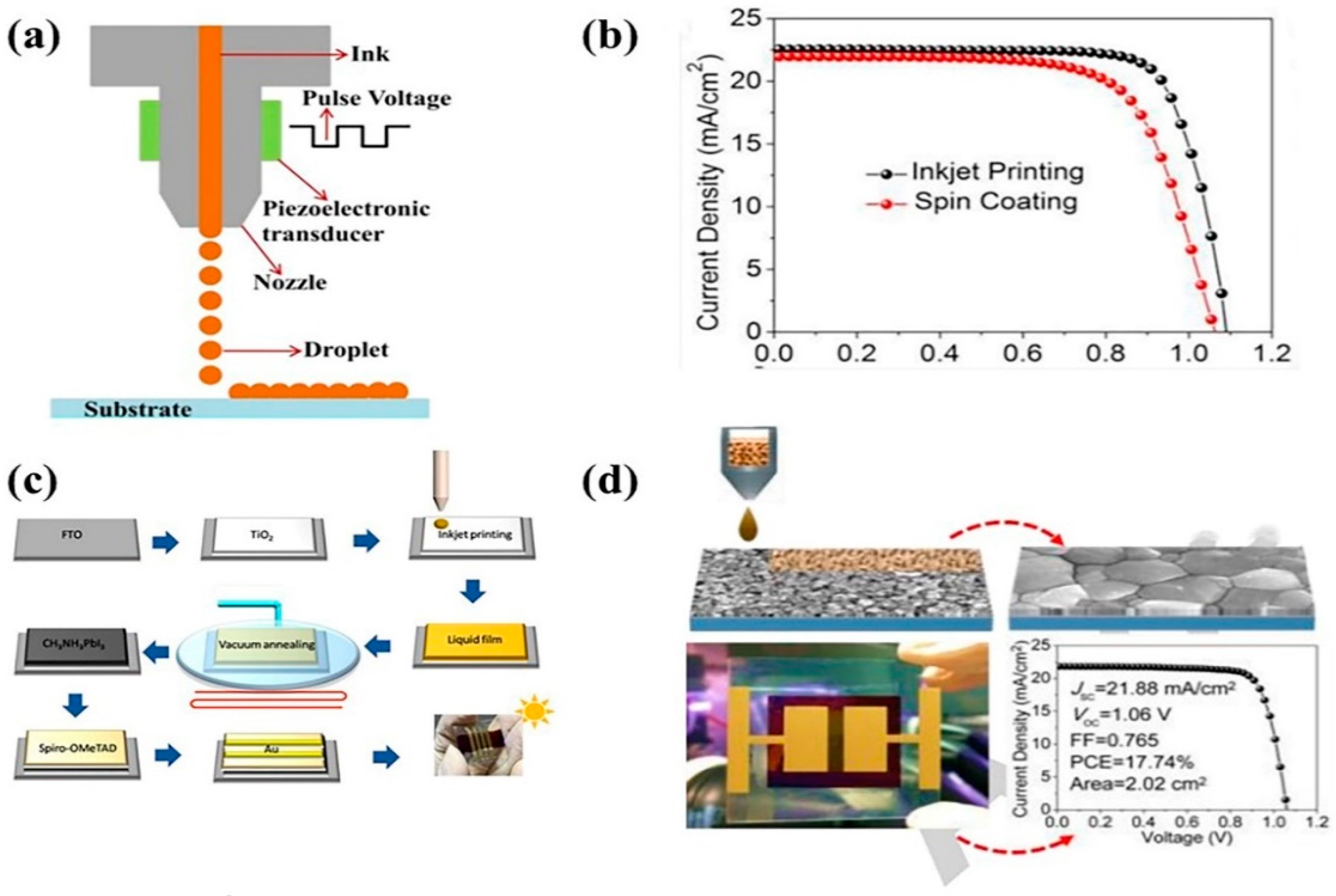Coatings 12 00252 g010