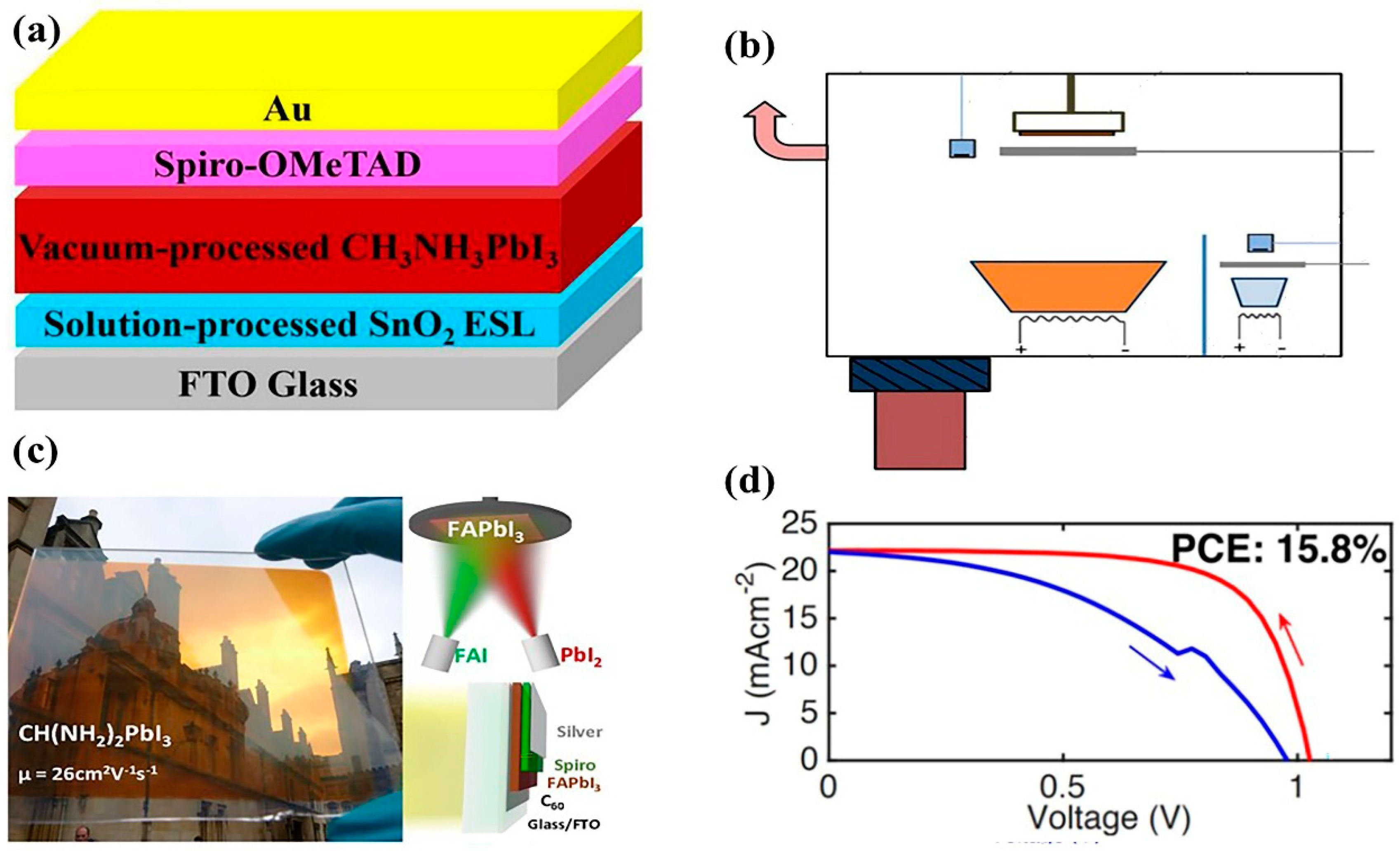 Coatings 12 00252 g016