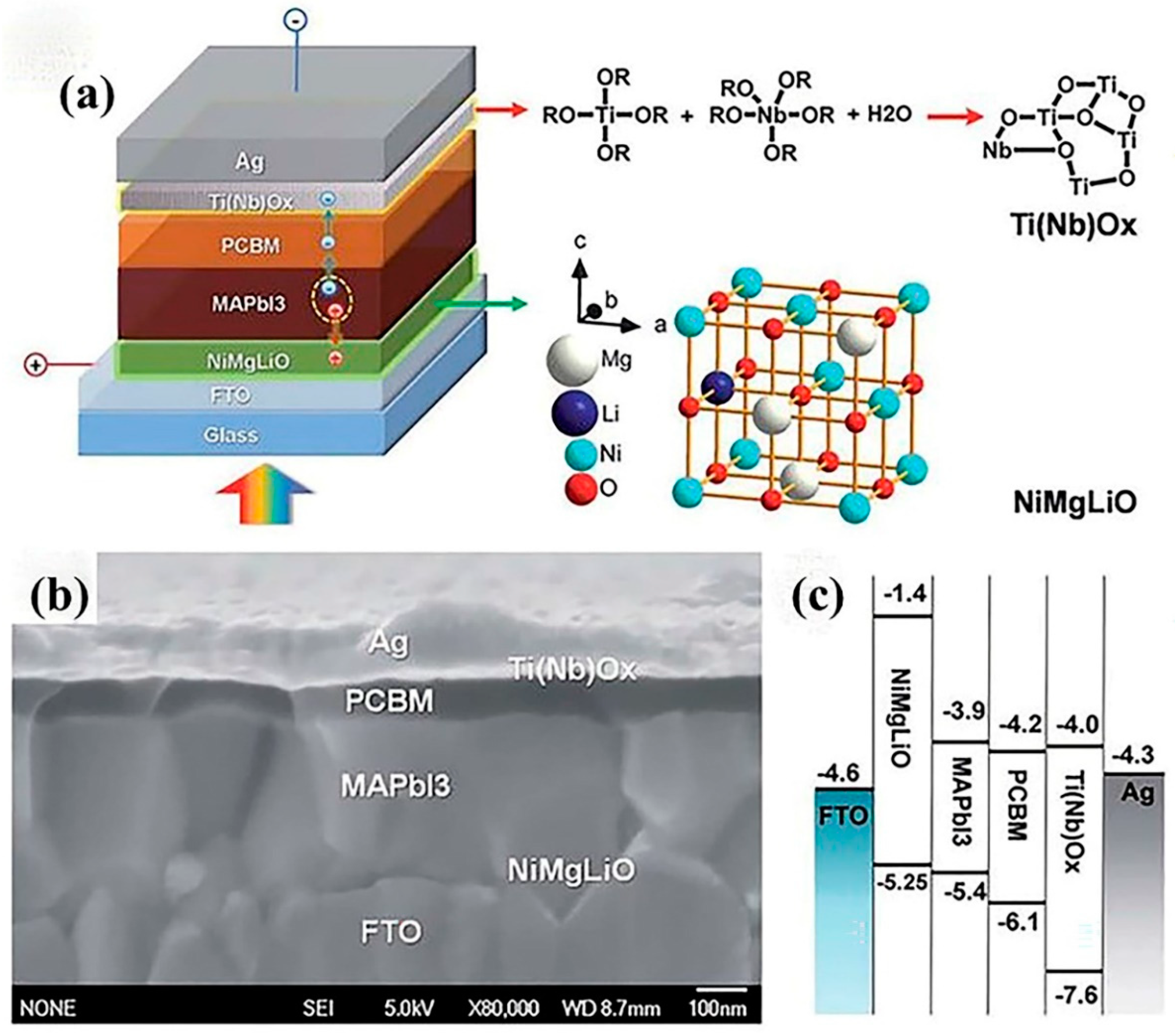 Coatings 12 00252 g021