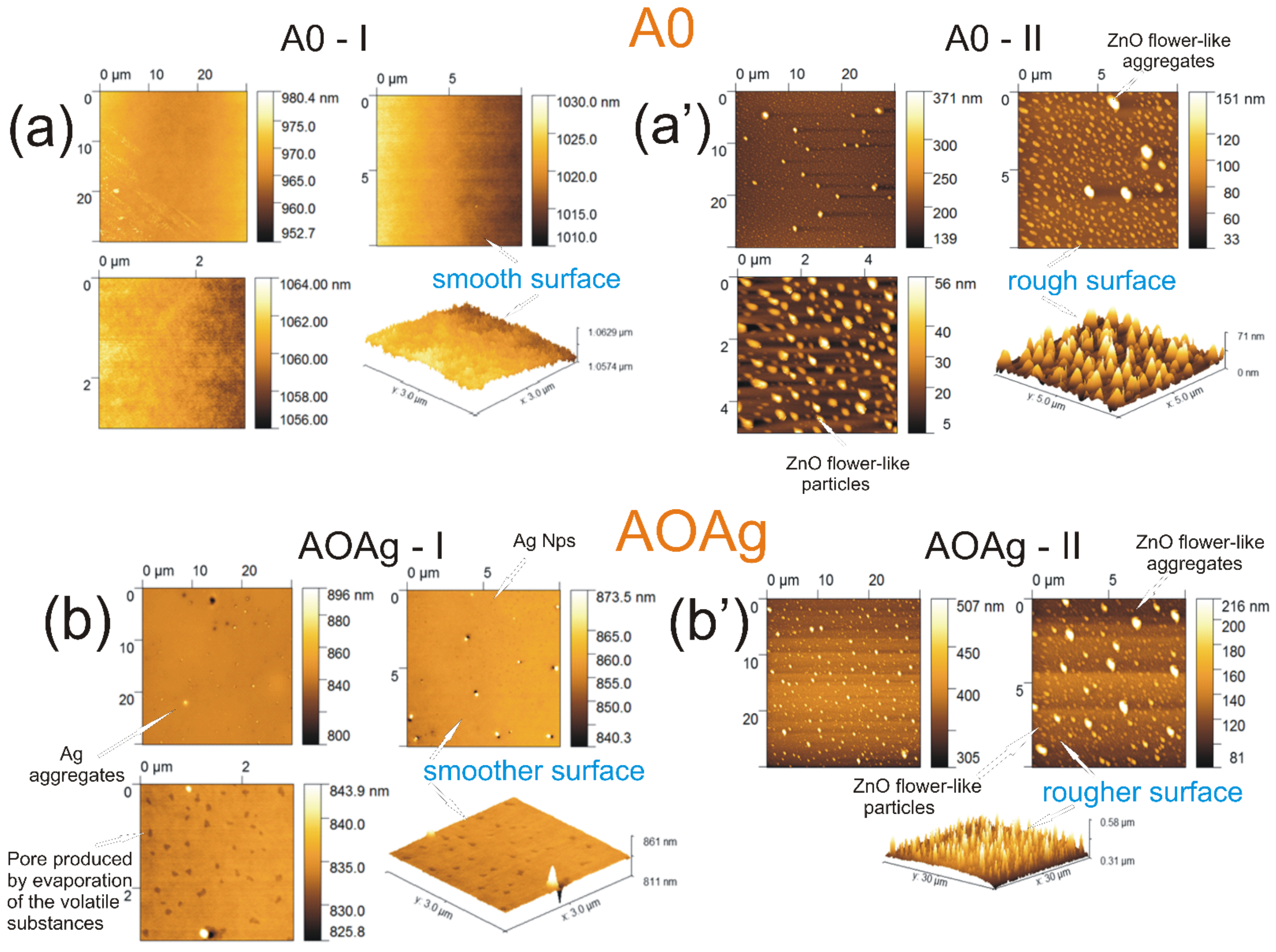 Coatings 12 00253 g002a