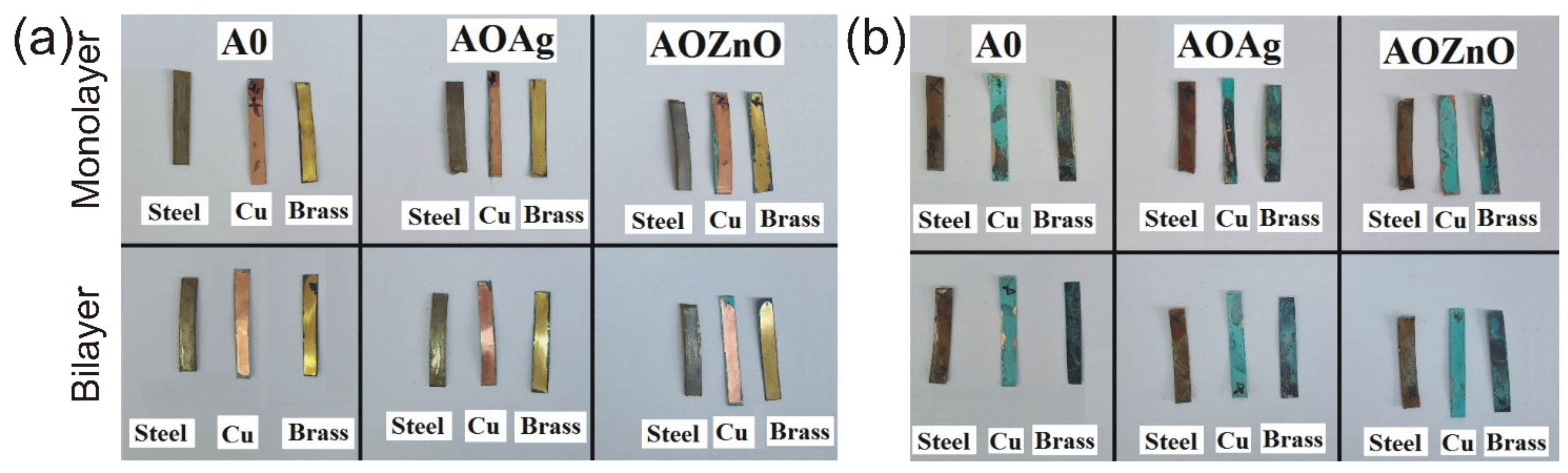 Coatings 12 00253 g005