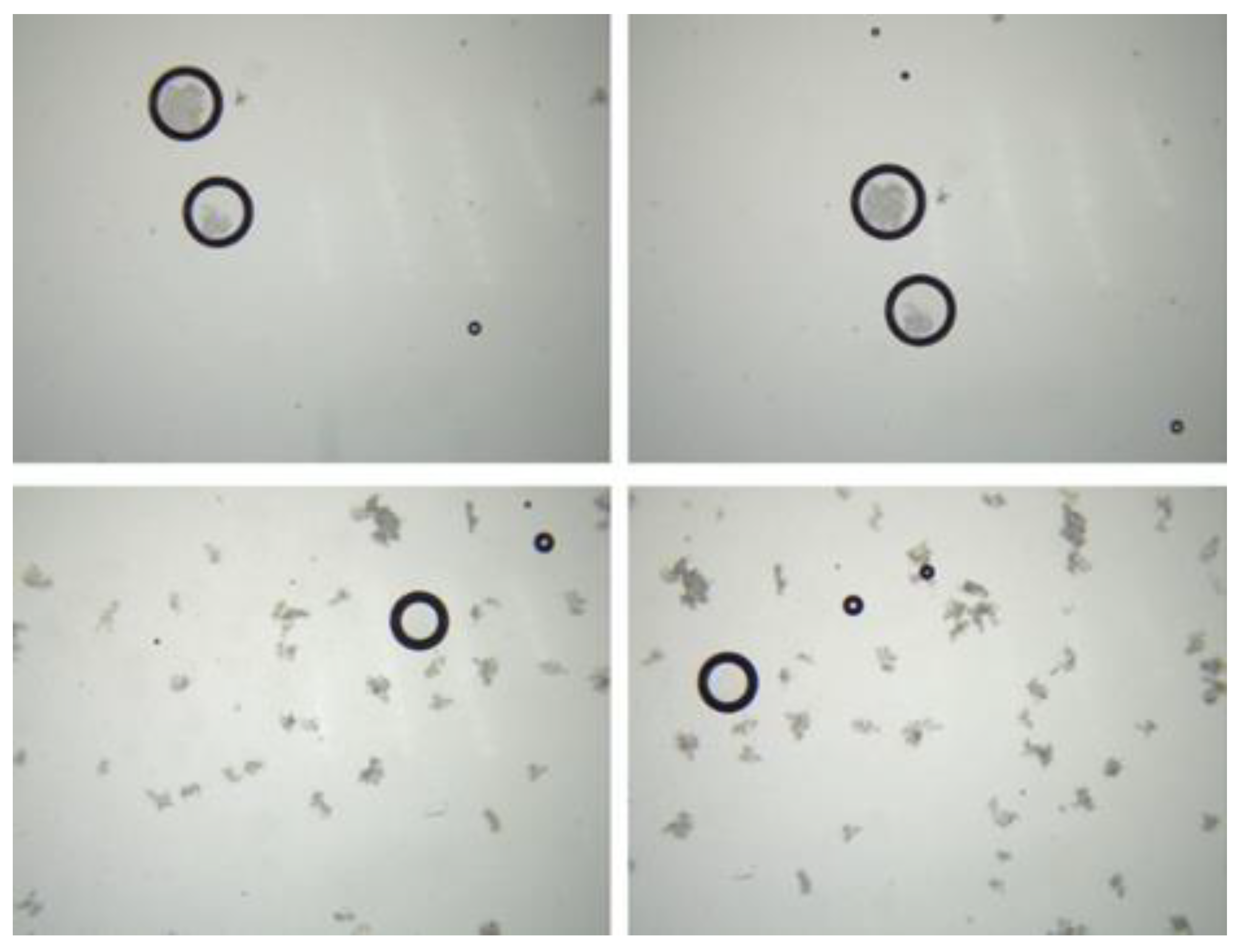 Coatings 12 00254 g003