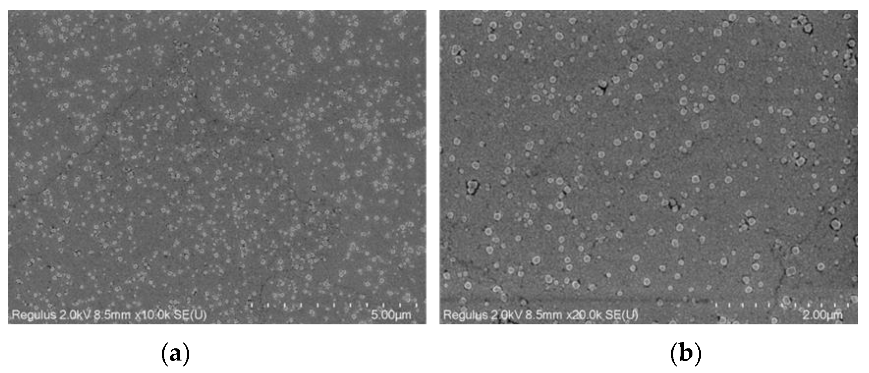 Coatings 12 00254 g004
