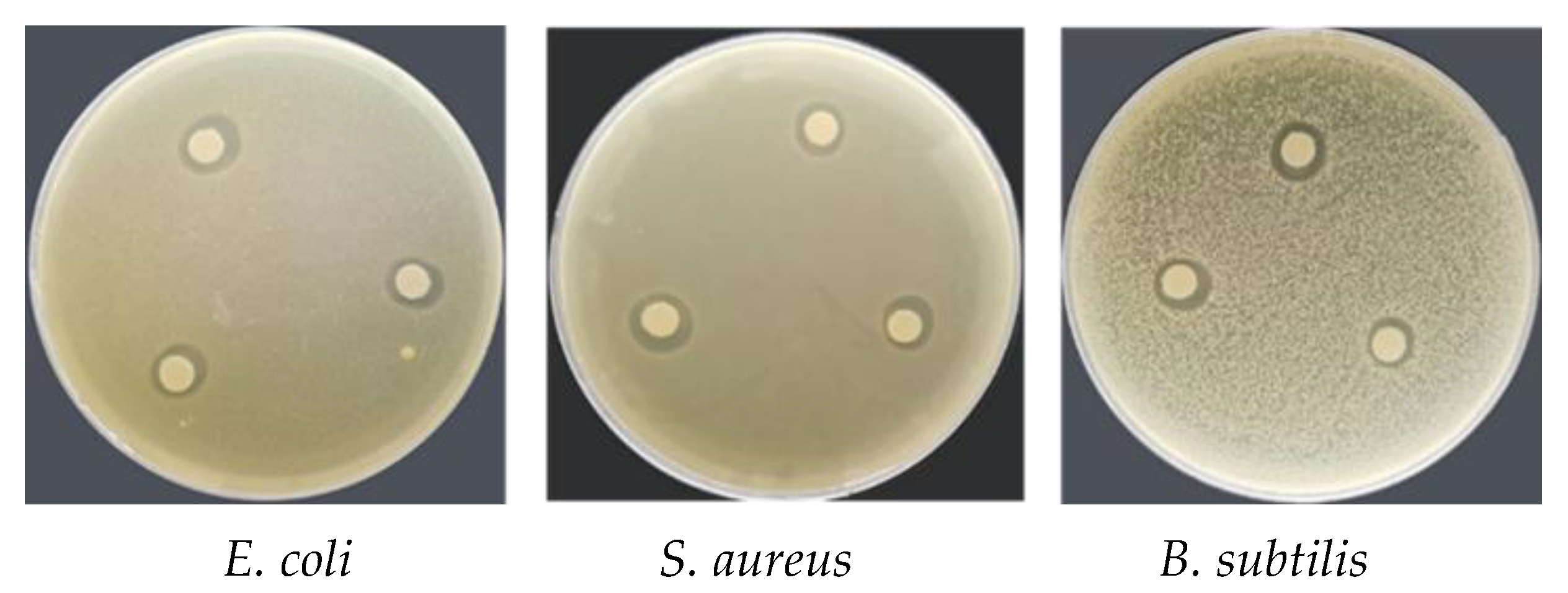 Coatings 12 00254 g007
