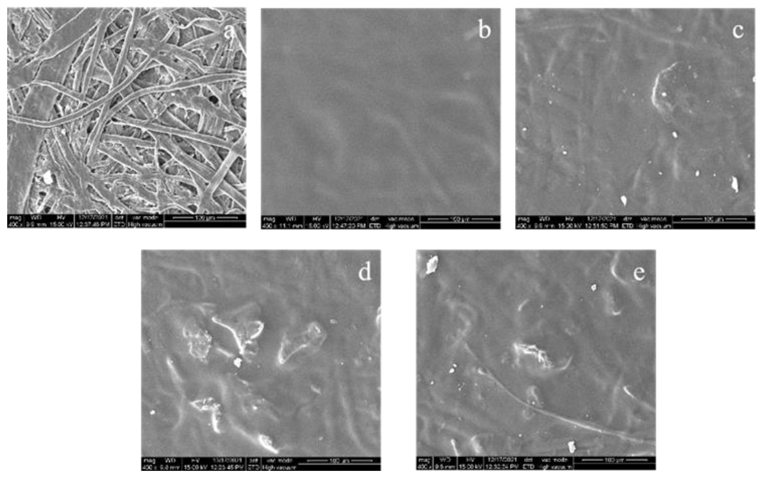 Coatings 12 00254 g008