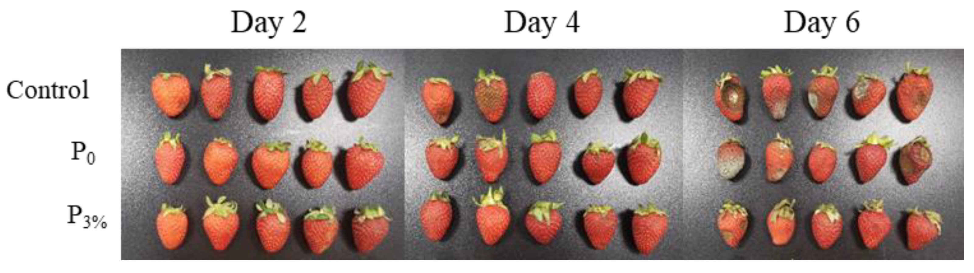 Coatings 12 00254 g011