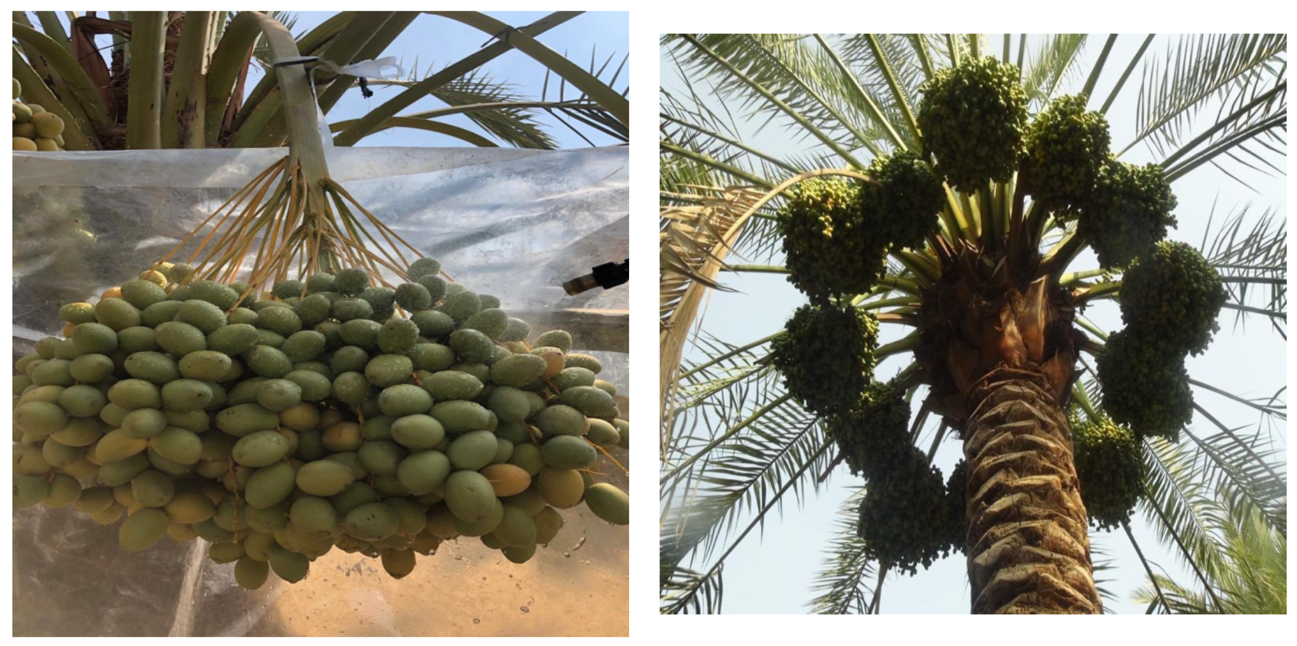 Coatings 12 00255 g002