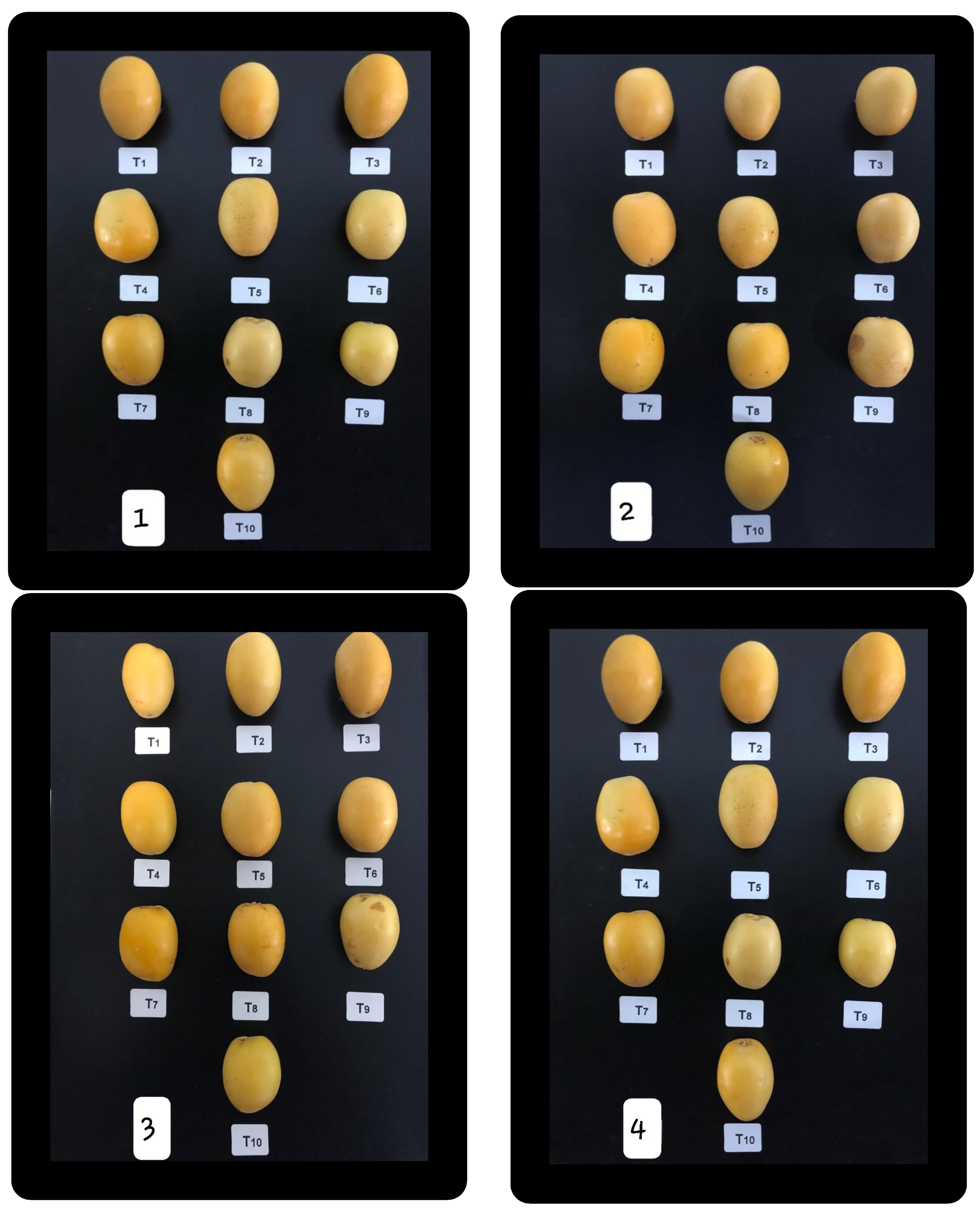 Coatings 12 00255 g003a