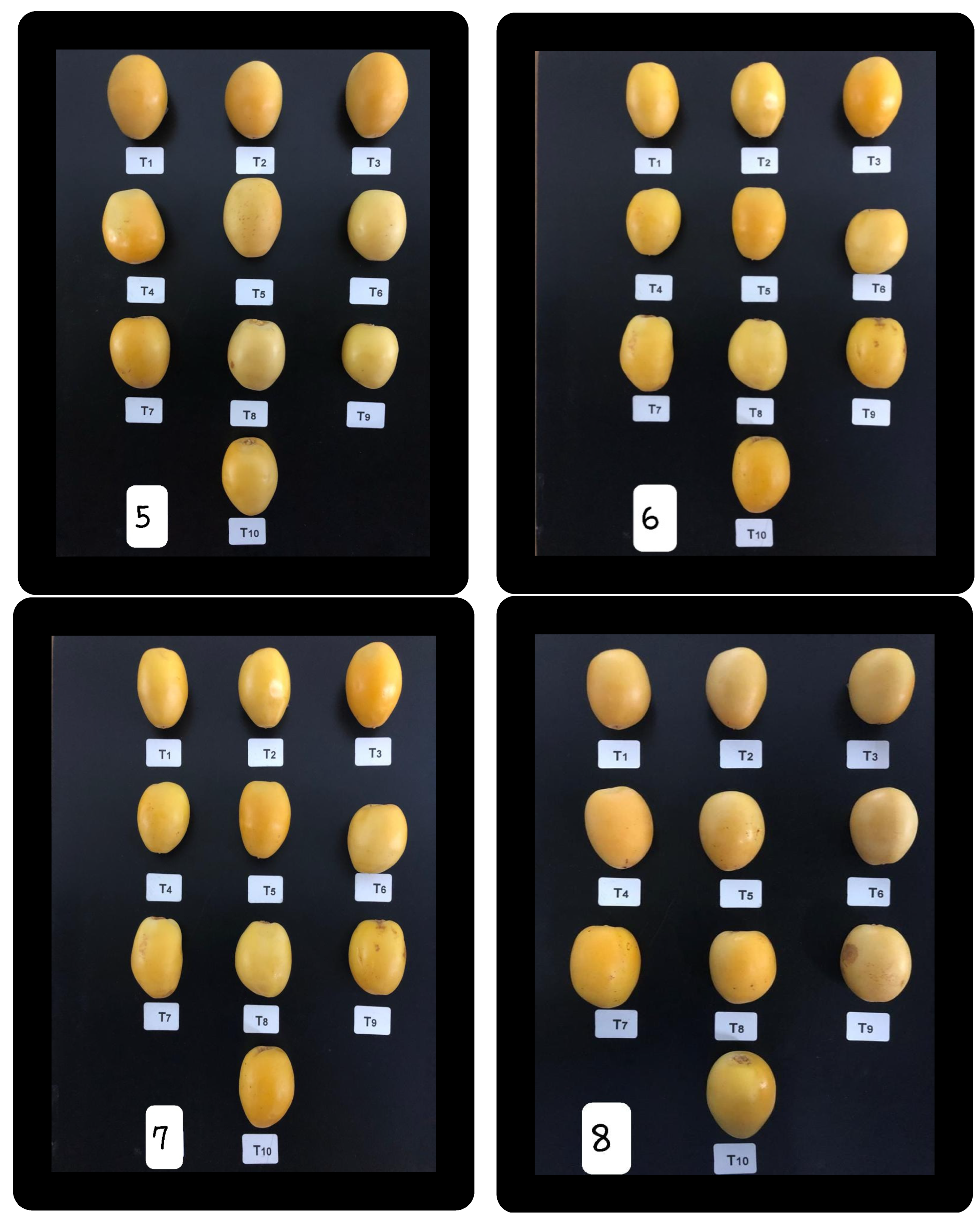 Coatings 12 00255 g003b