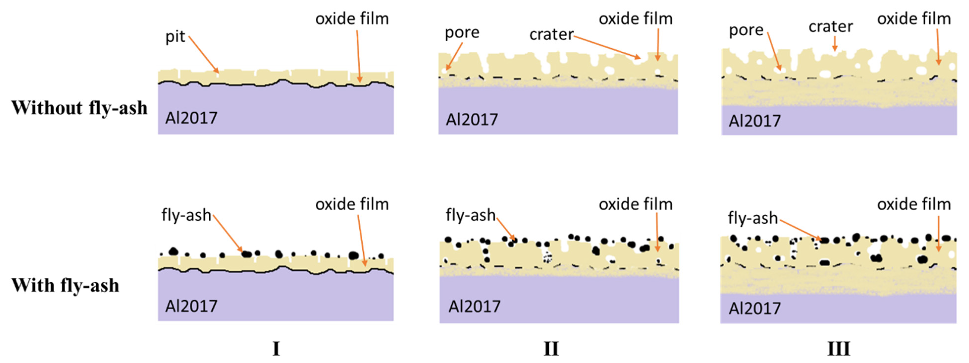 Coatings 12 00256 g005
