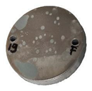 Coatings 12 00257 i005