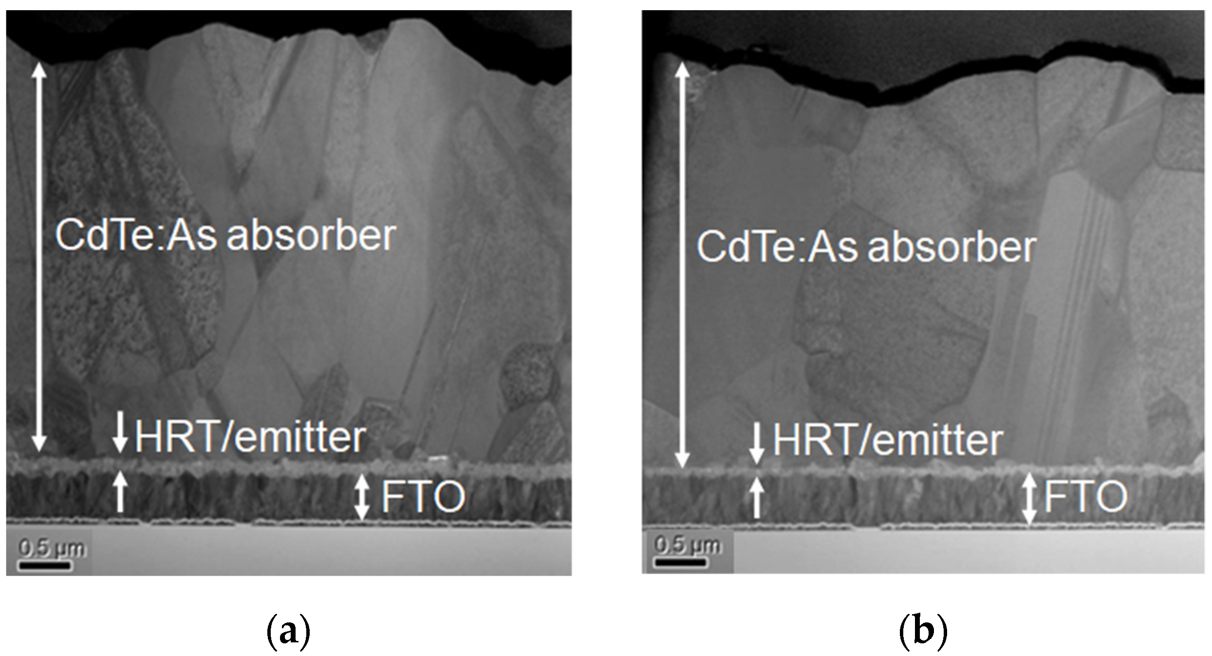 Coatings 12 00261 g002