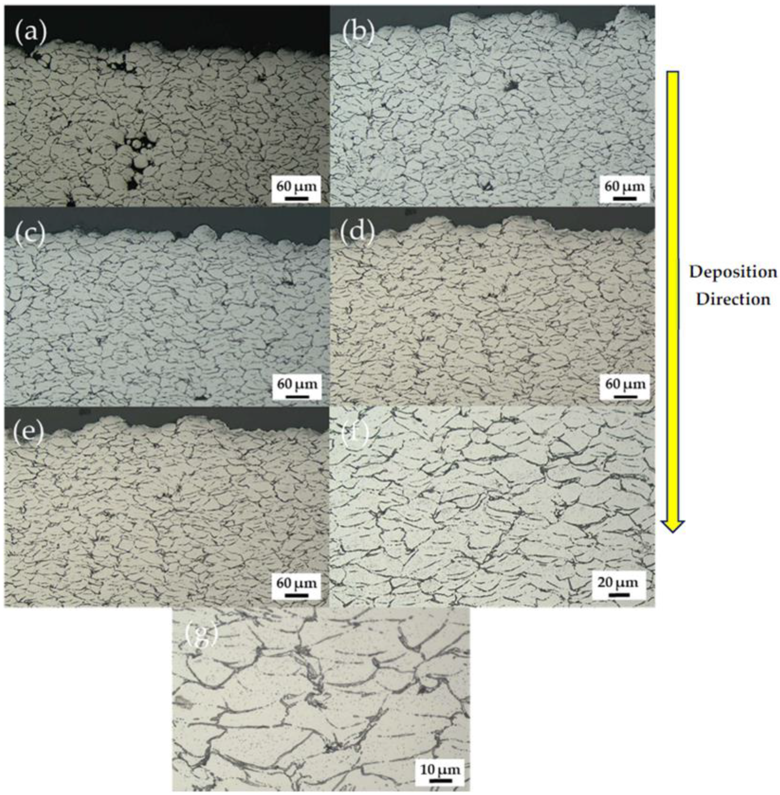 Coatings 12 00263 g003