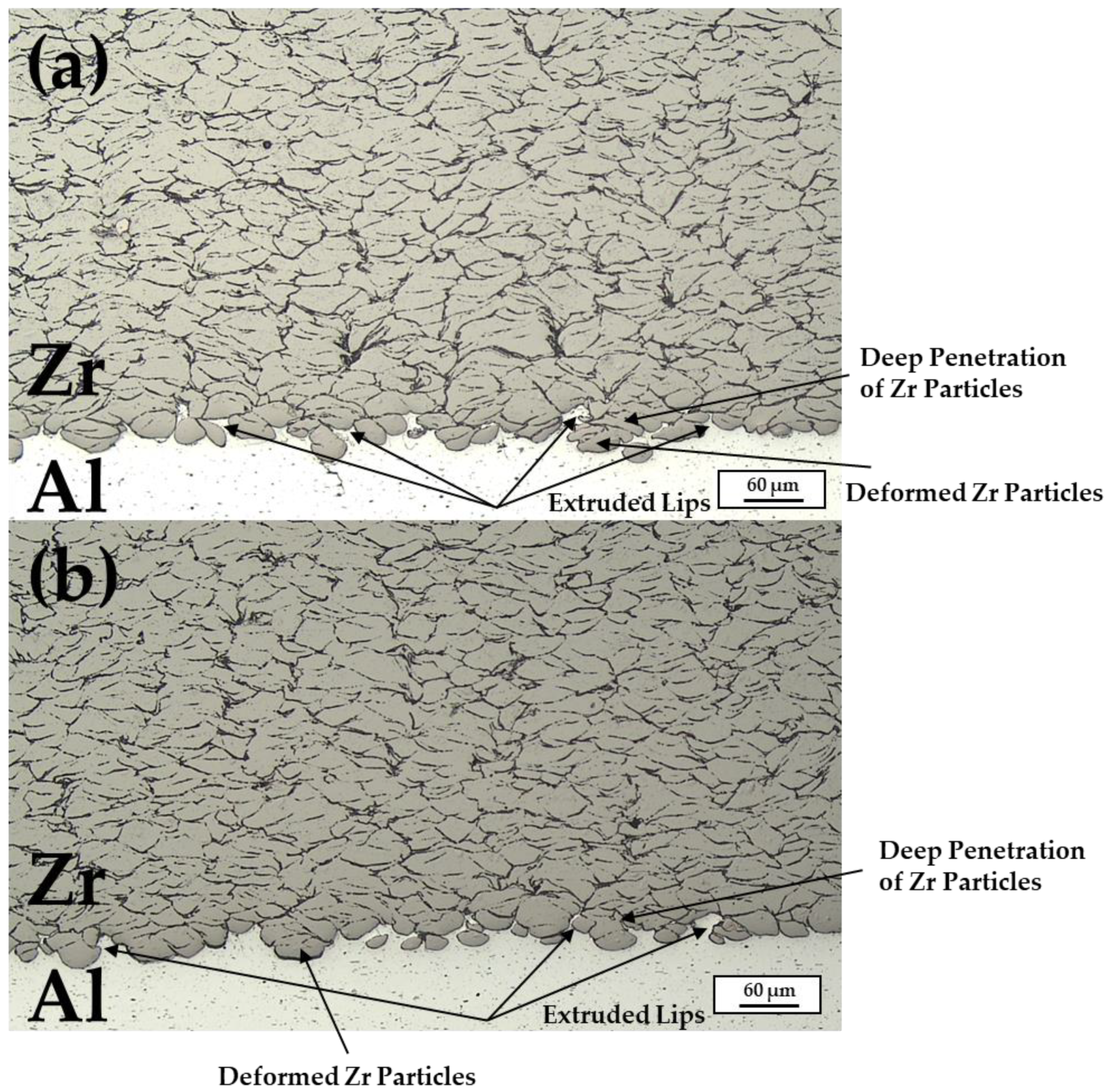 Coatings 12 00263 g004