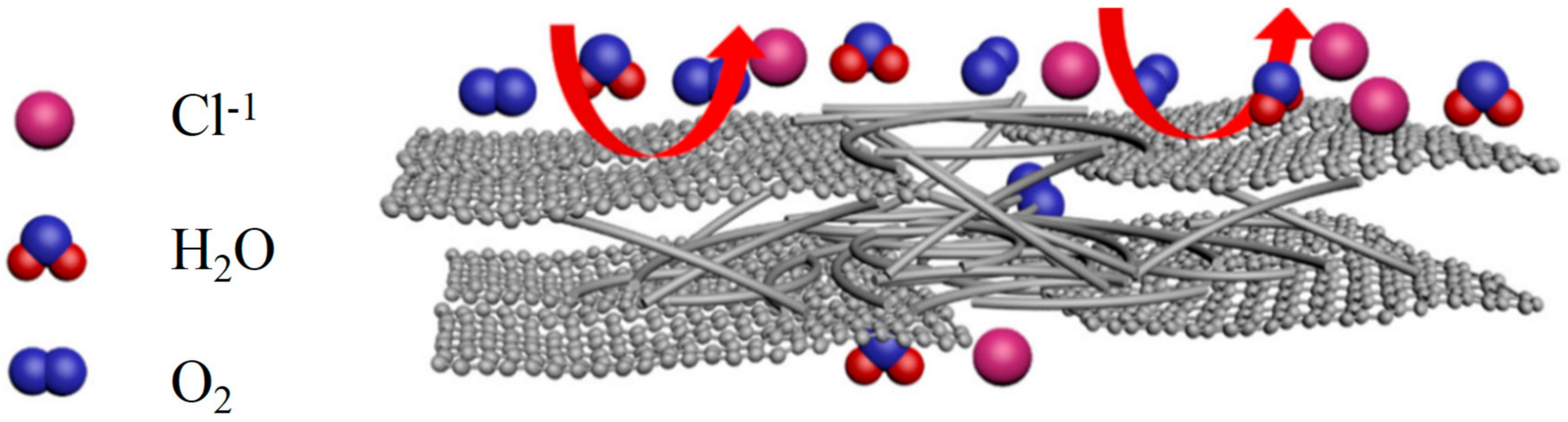 Coatings 12 00264 g007