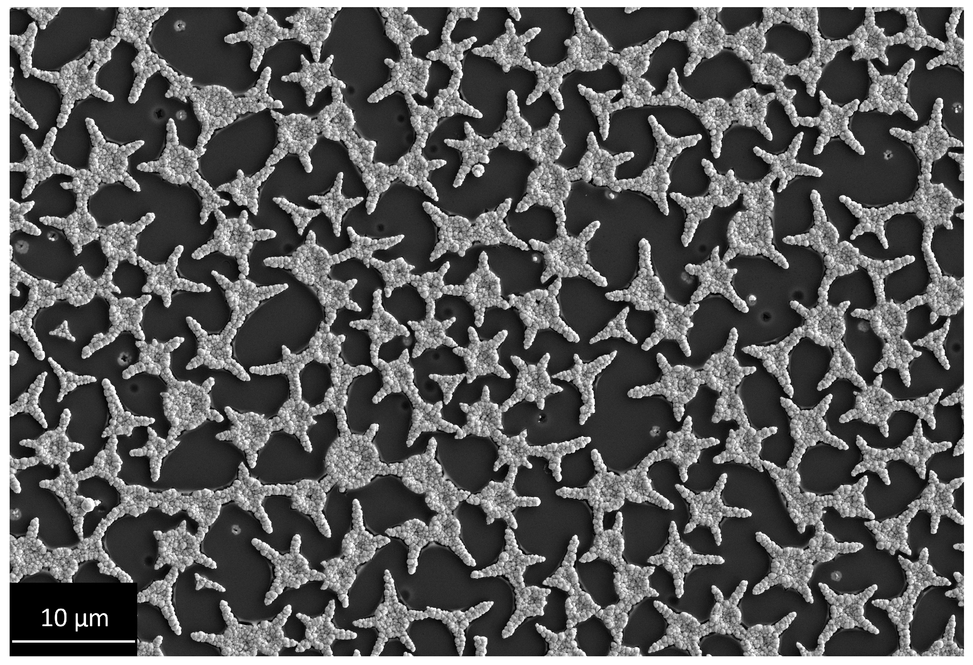 Coatings 12 00266 g003