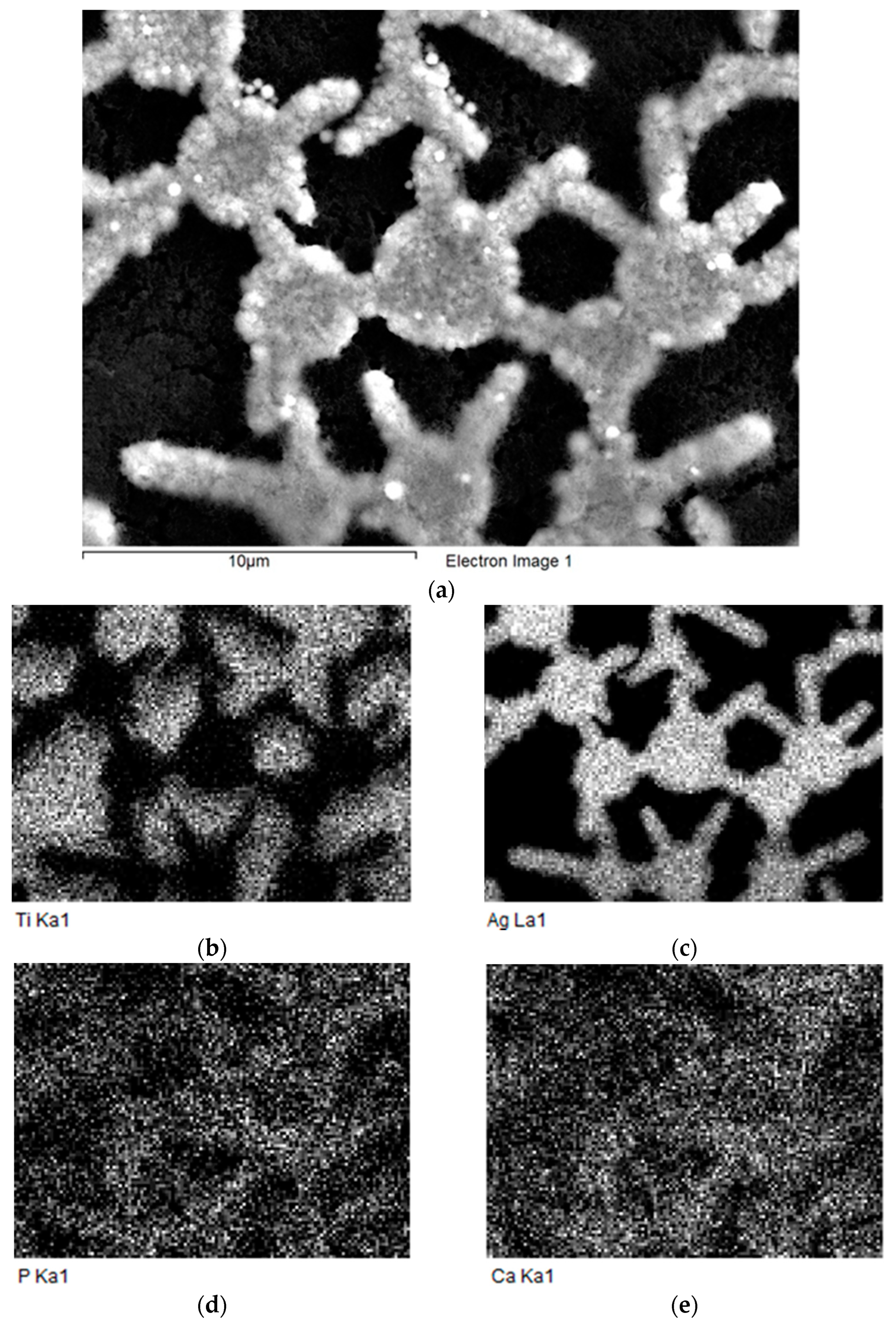 Coatings 12 00266 g005
