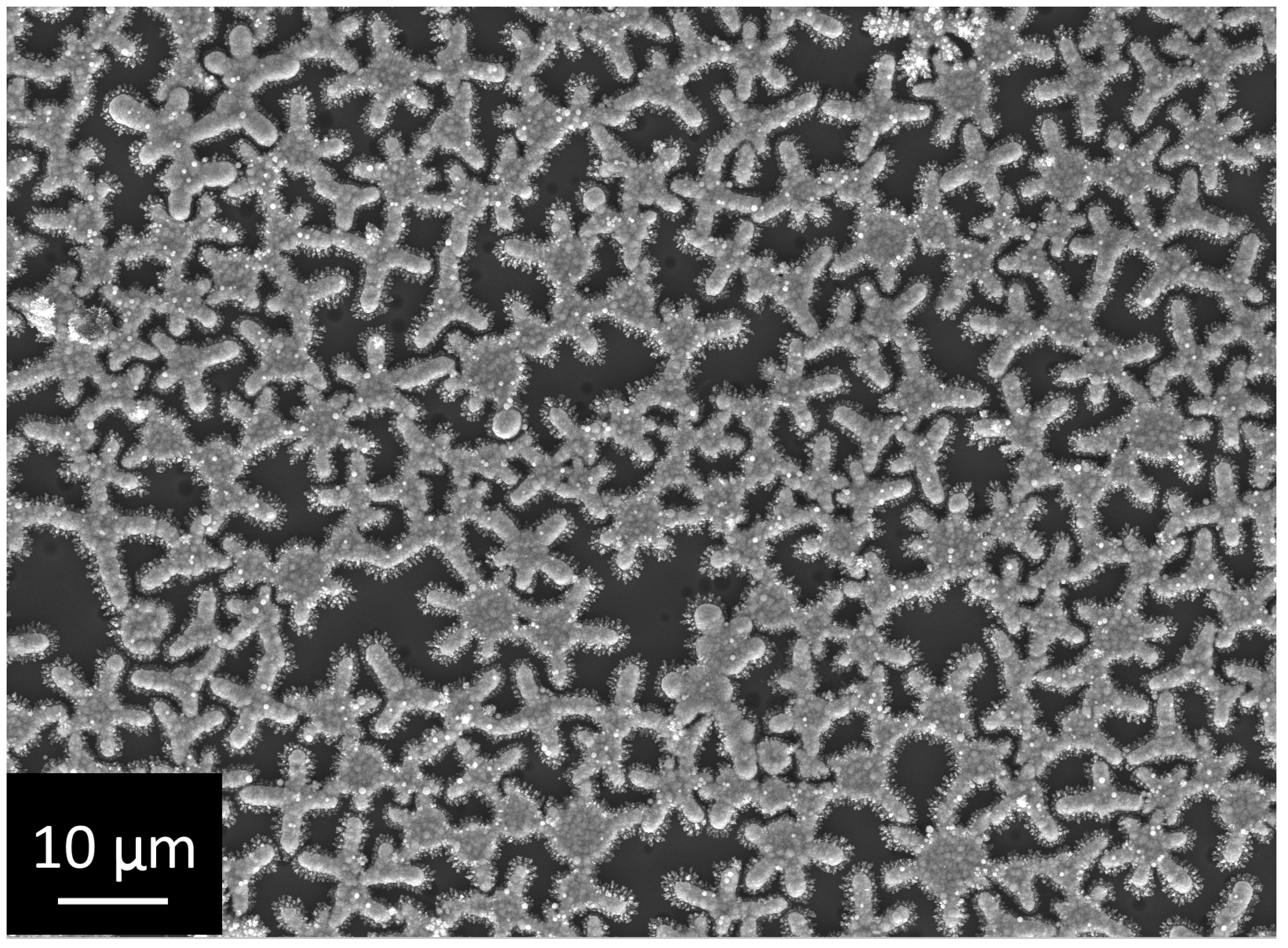 Coatings 12 00266 g006