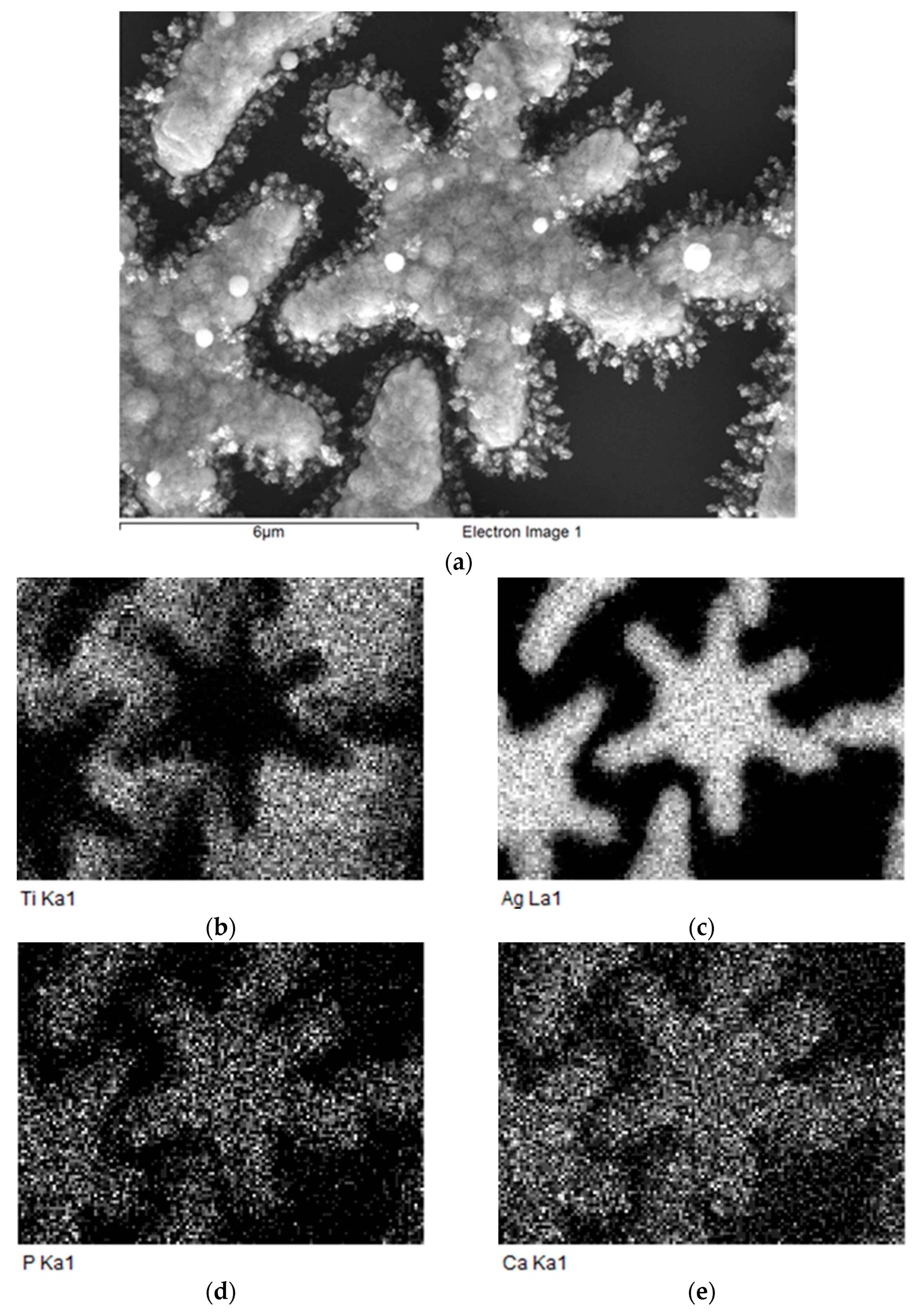Coatings 12 00266 g007