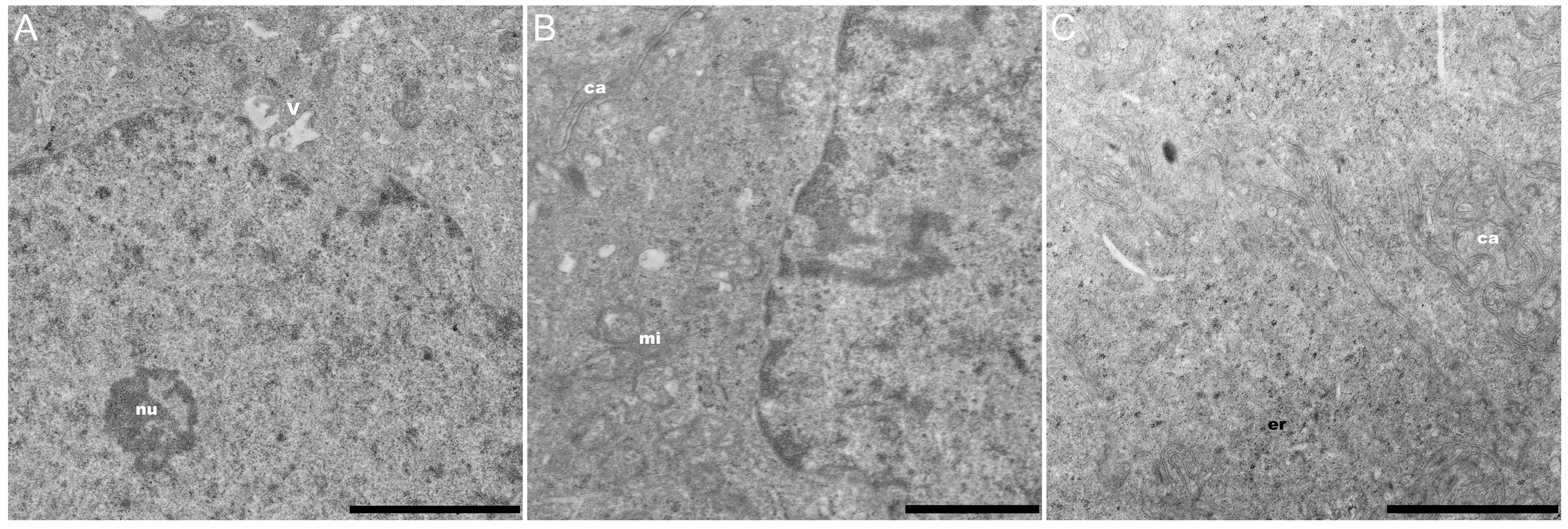 Coatings 12 00266 g010