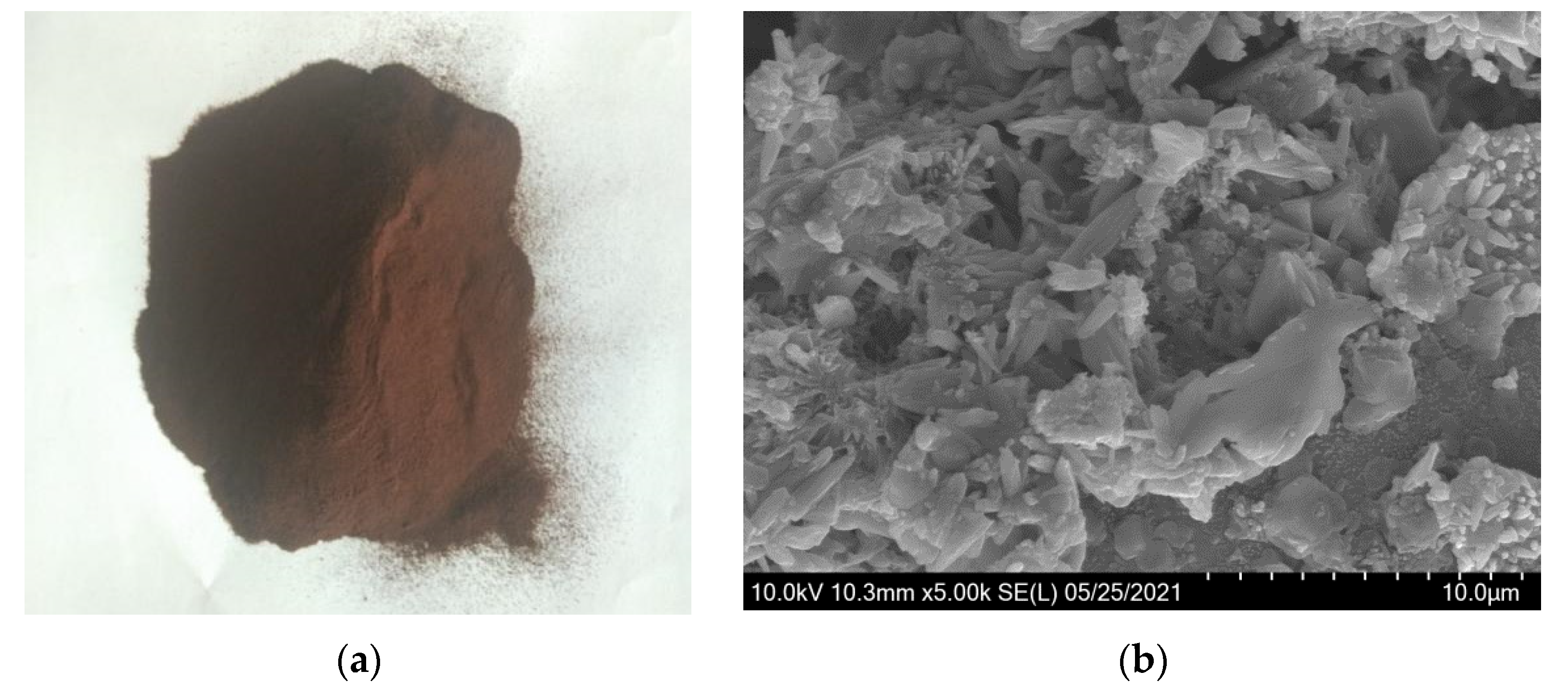Coatings 12 00268 g002 Coatings 12 00268 g002