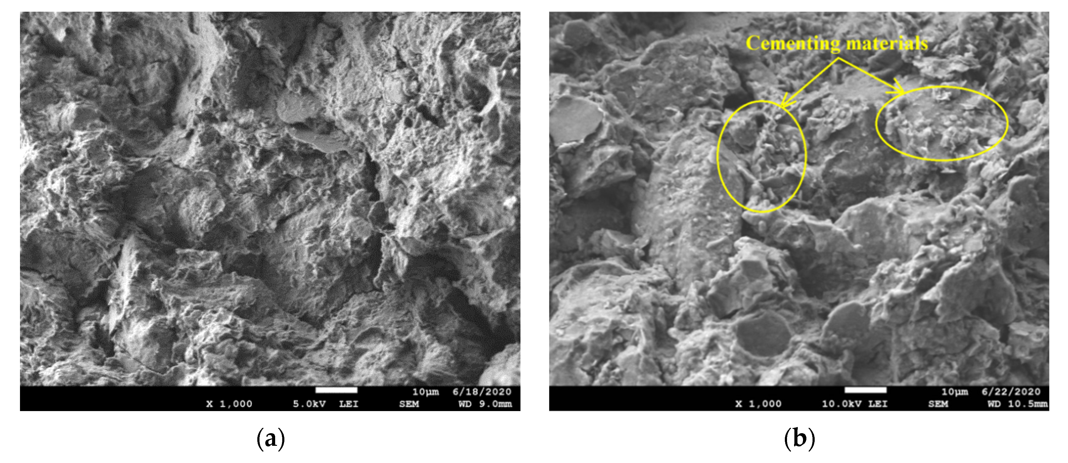 Coatings 12 00268 g007a Coatings 12 00268 g007a