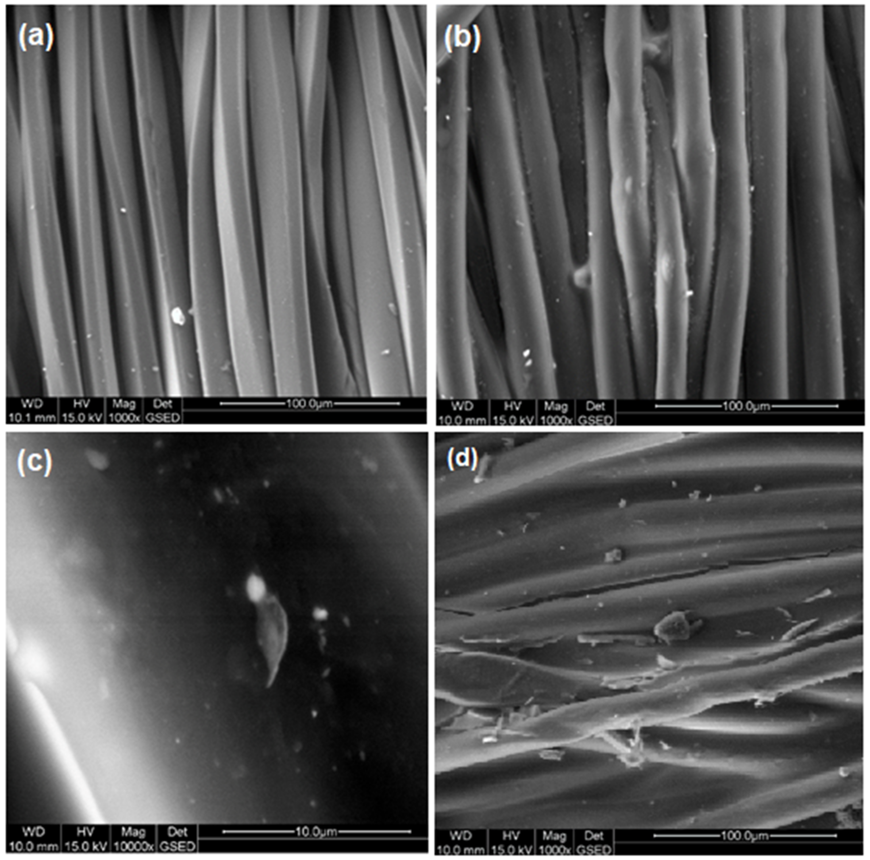 Coatings 12 00271 g004