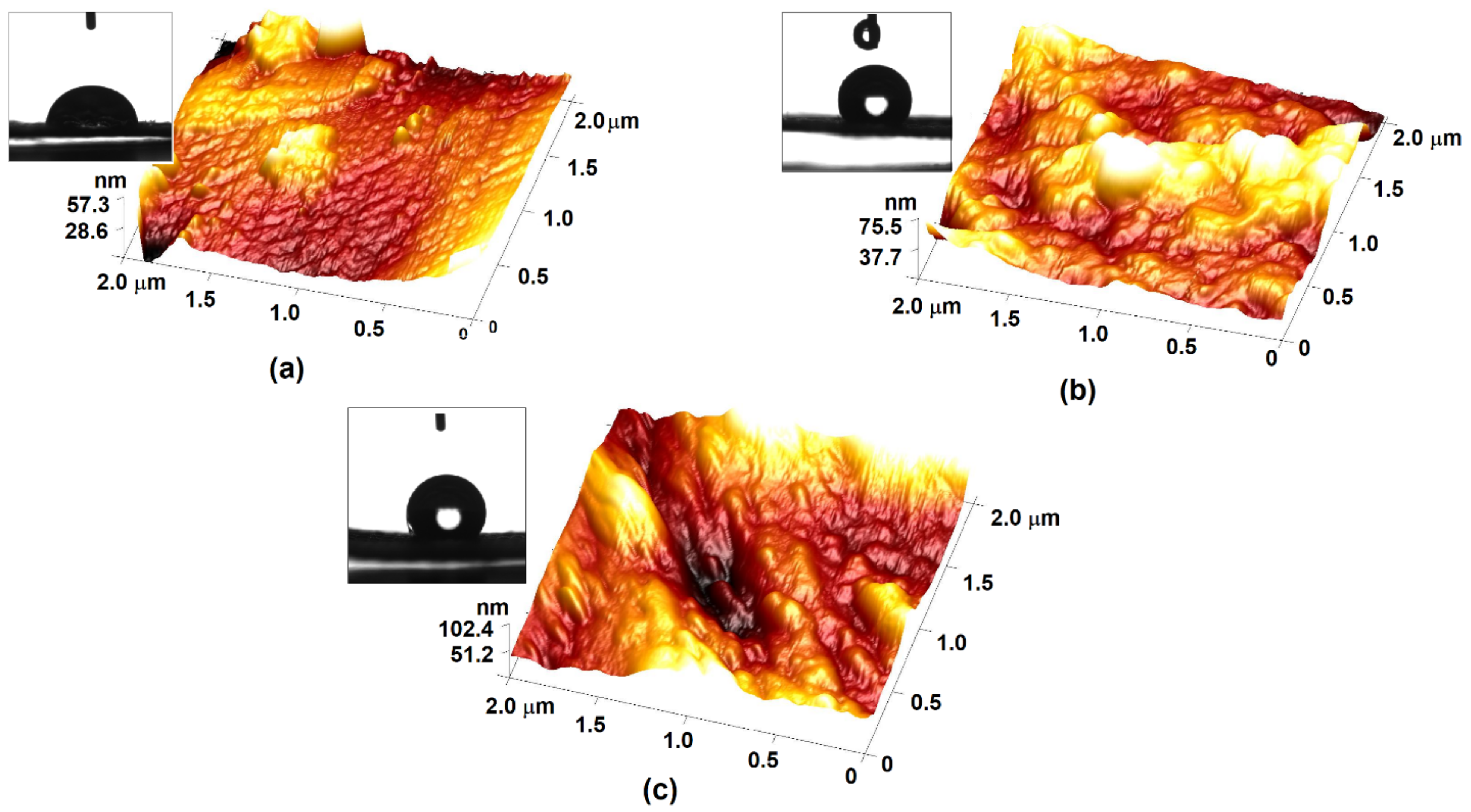 Coatings 12 00271 g005