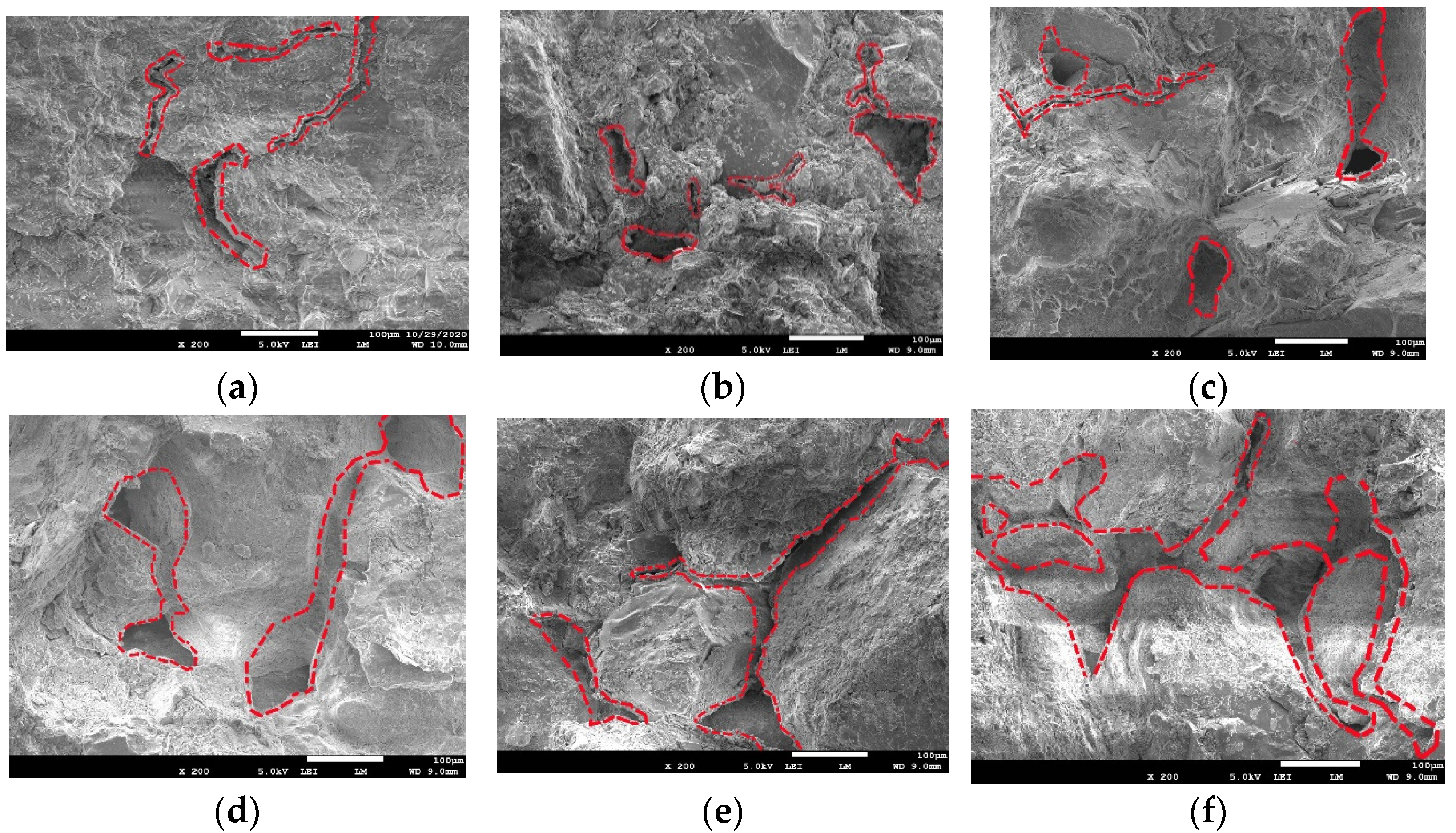 Coatings 12 00272 g007