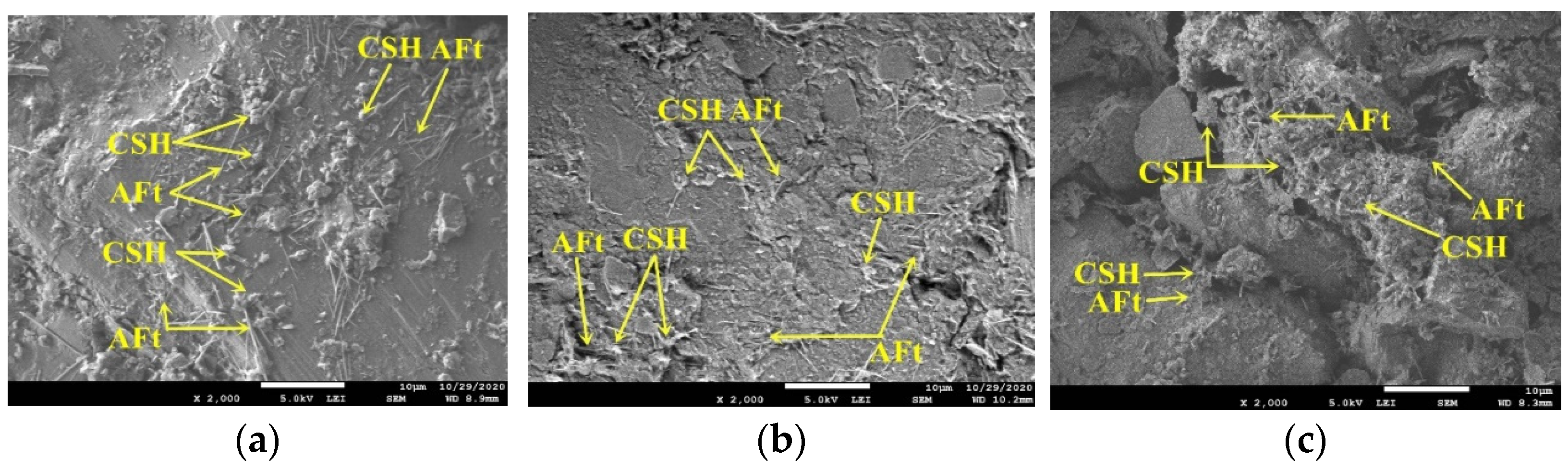 Coatings 12 00272 g008a