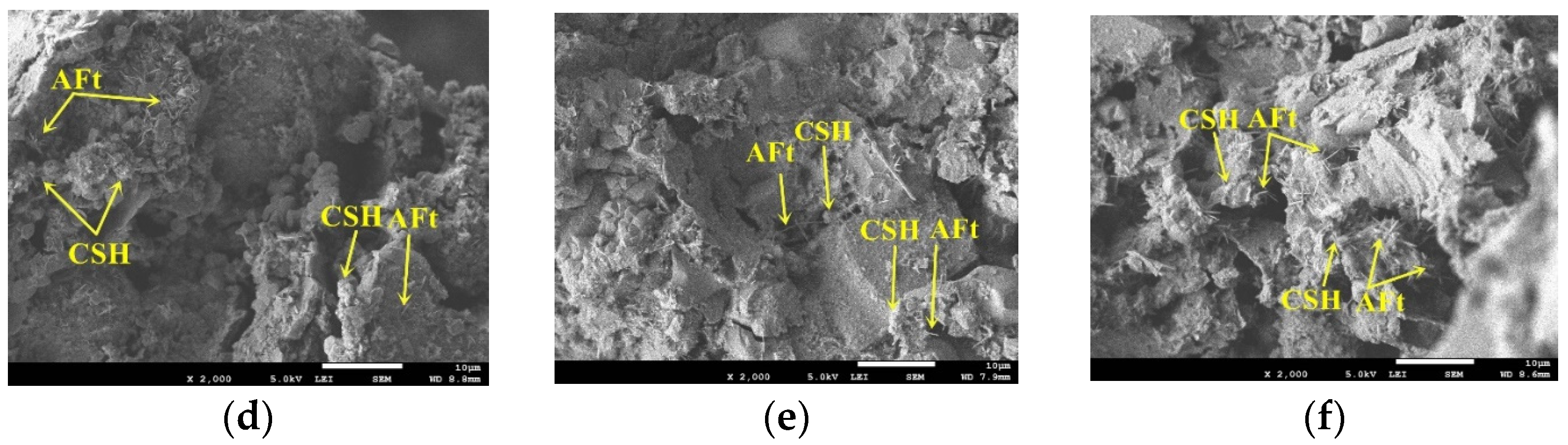Coatings 12 00272 g008b