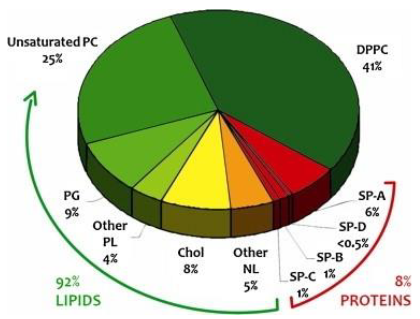 Coatings 12 00277 g001