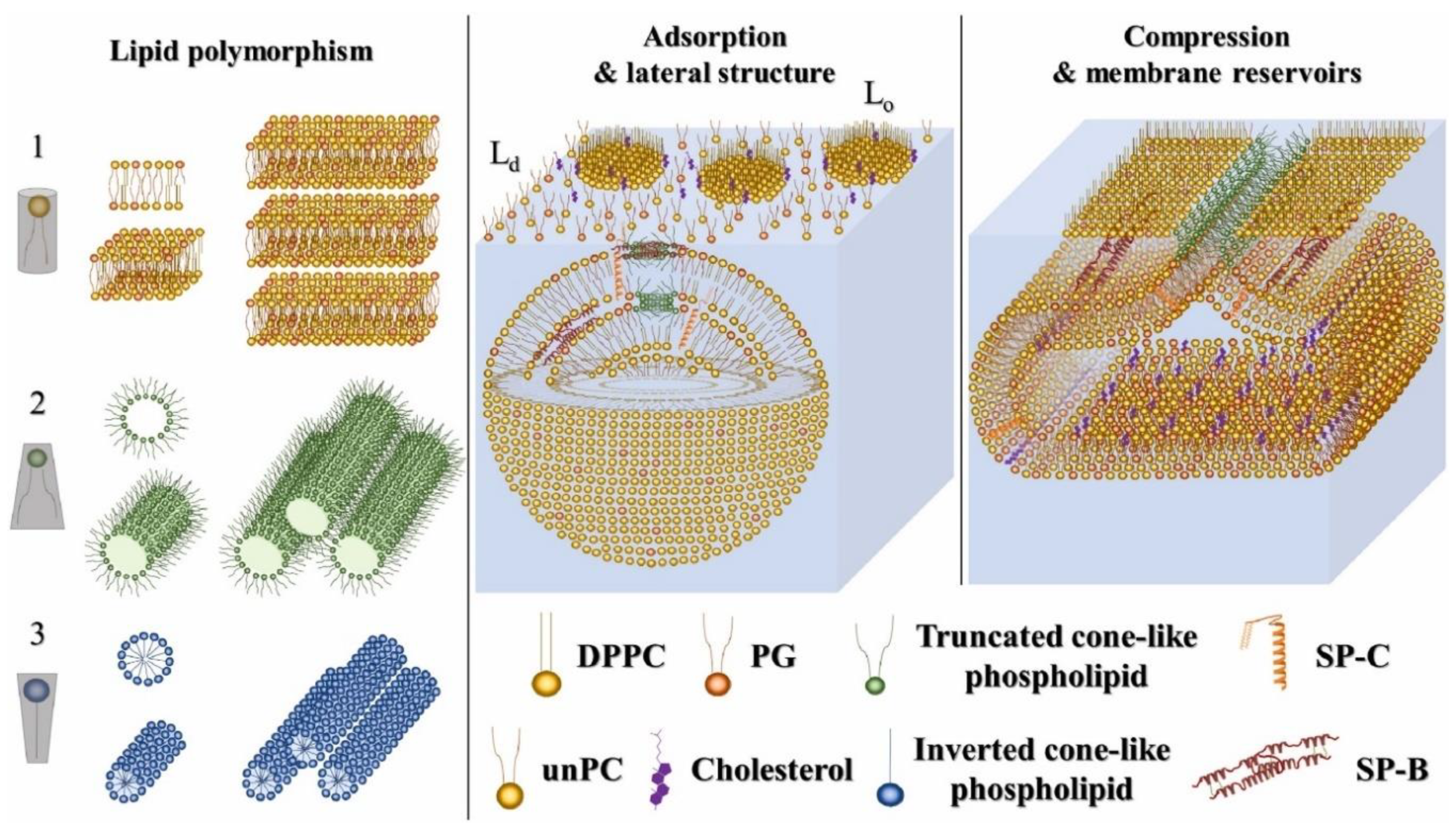 Coatings 12 00277 g002