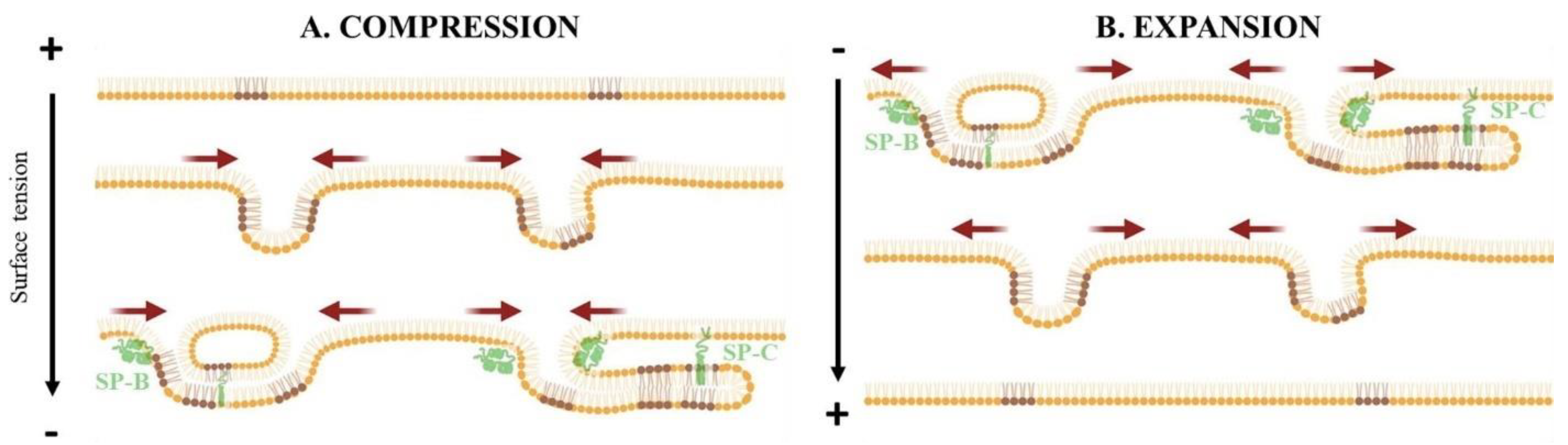 Coatings 12 00277 g003