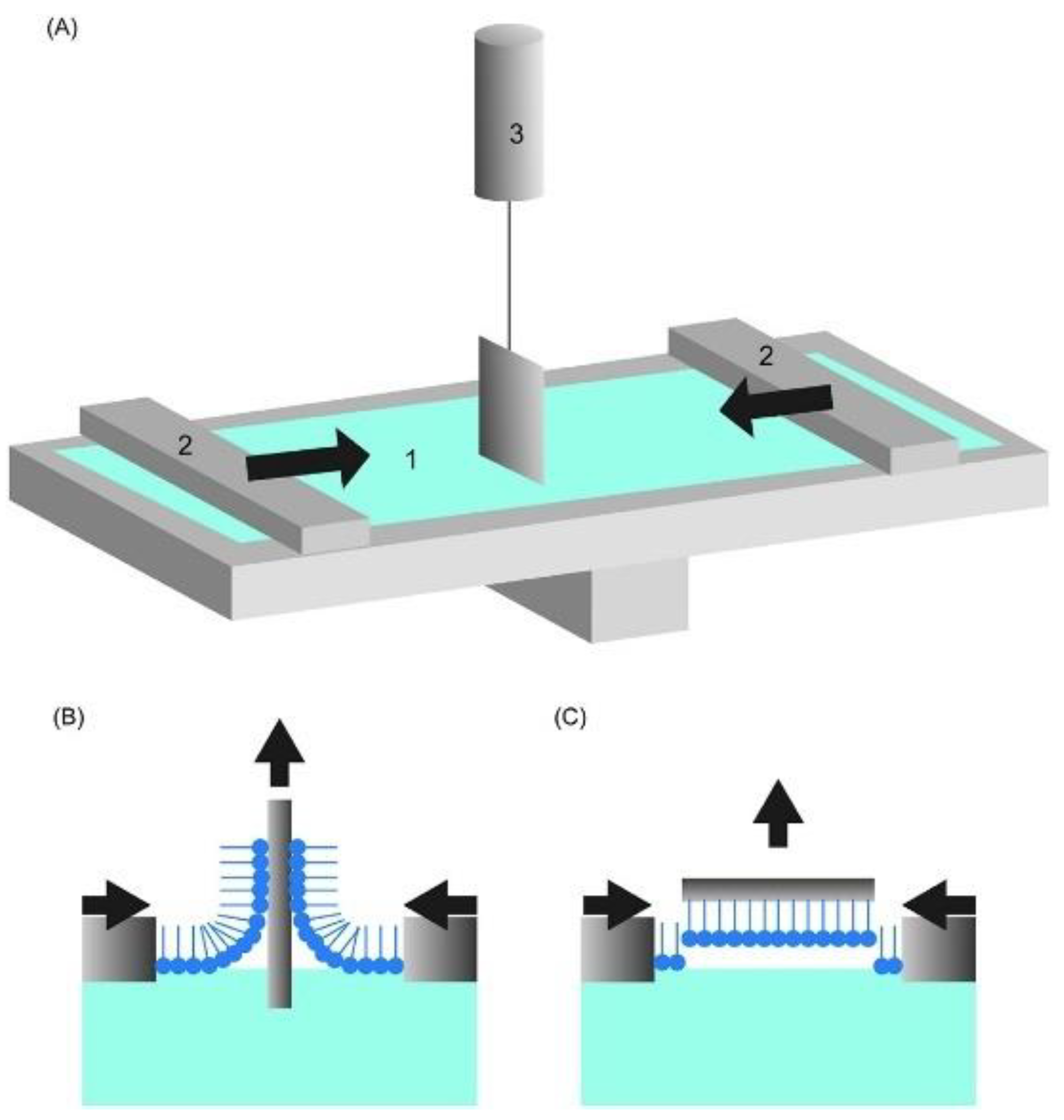 Coatings 12 00277 g004