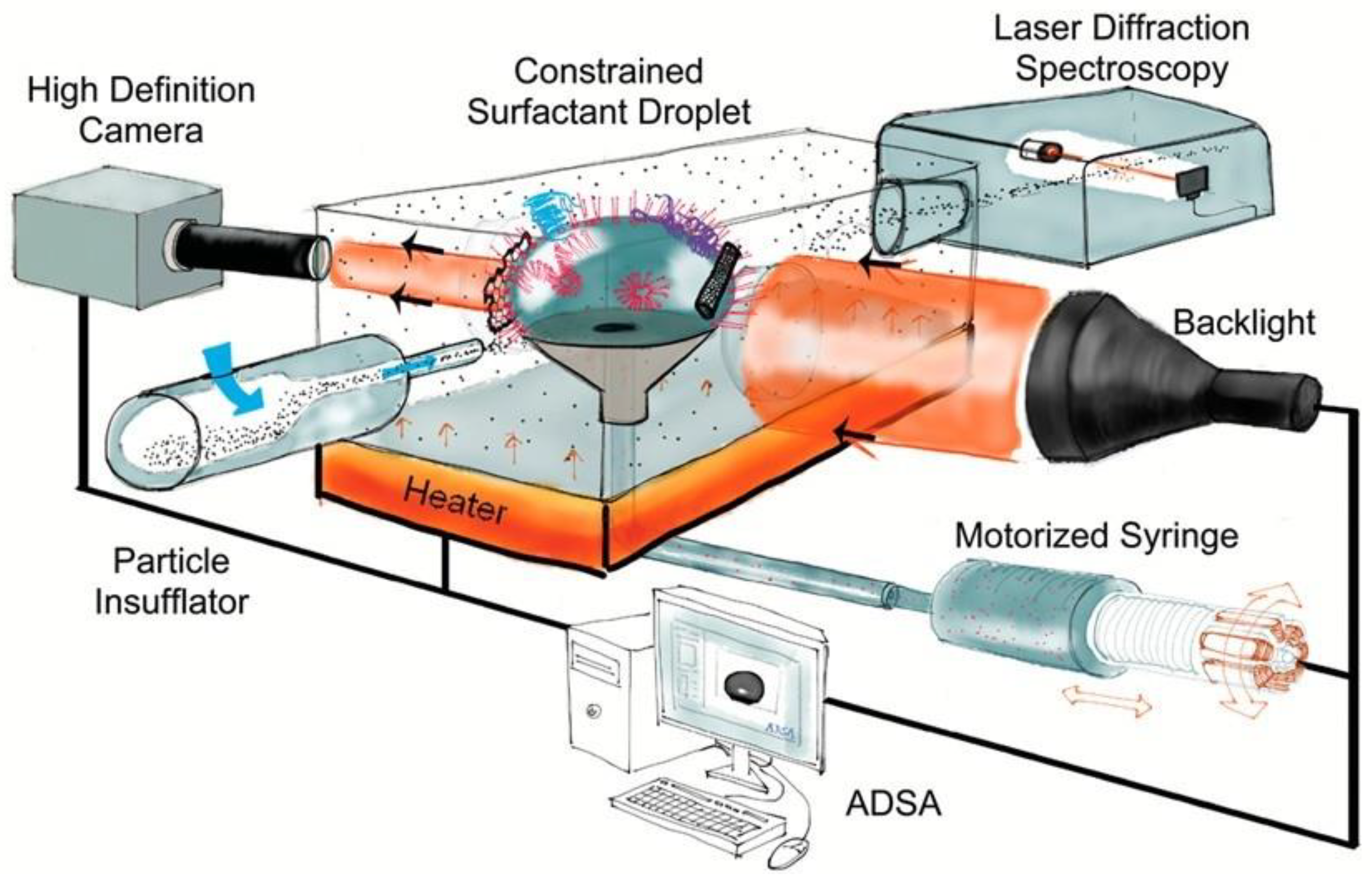 Coatings 12 00277 g005