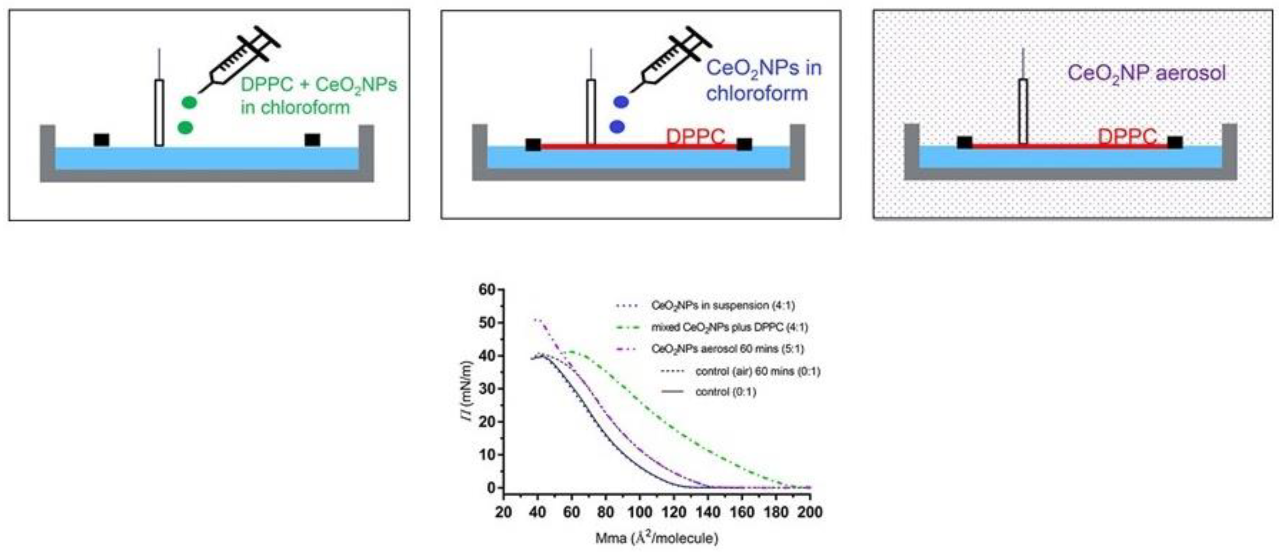 Coatings 12 00277 g006