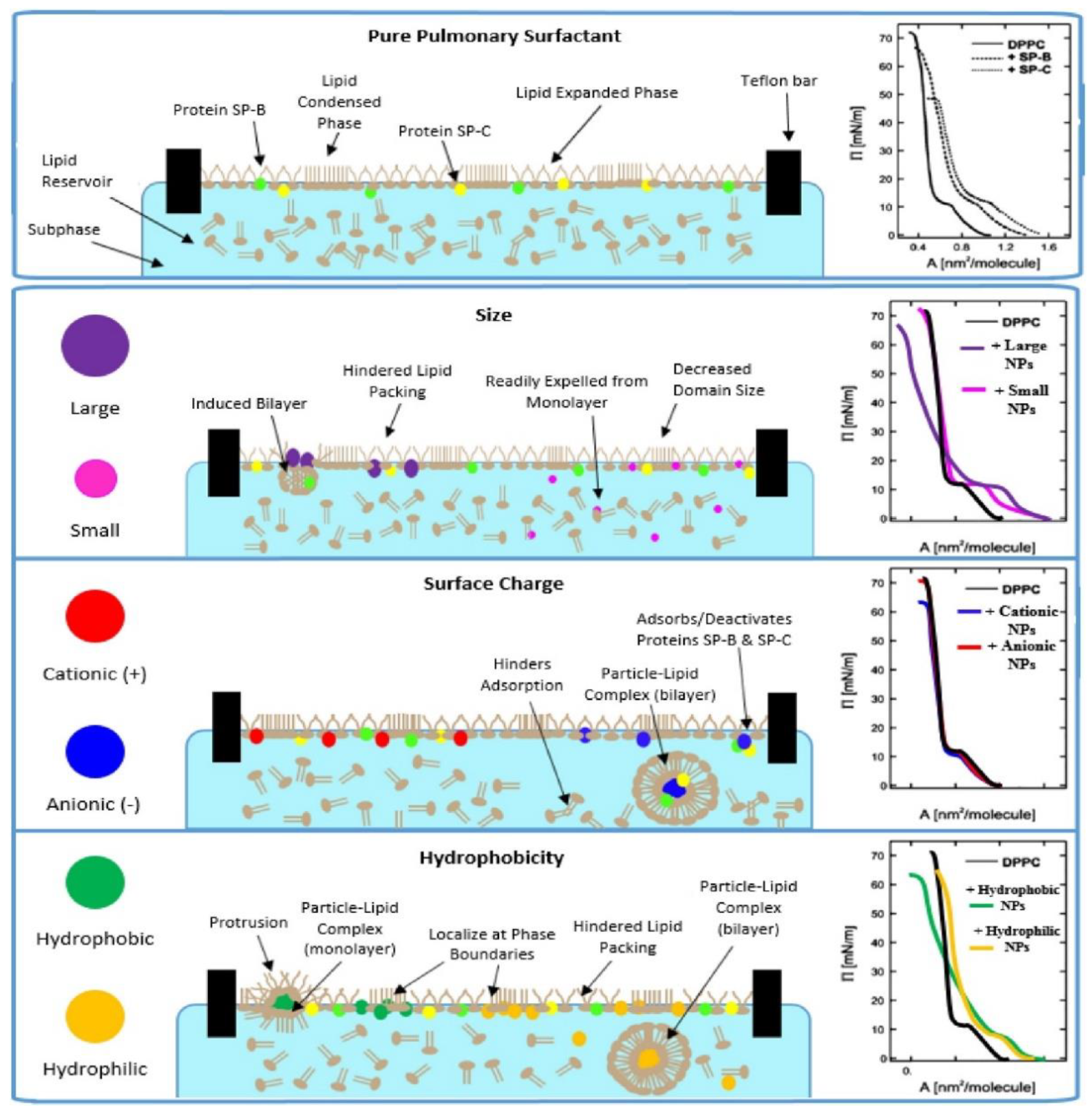 Coatings 12 00277 g007