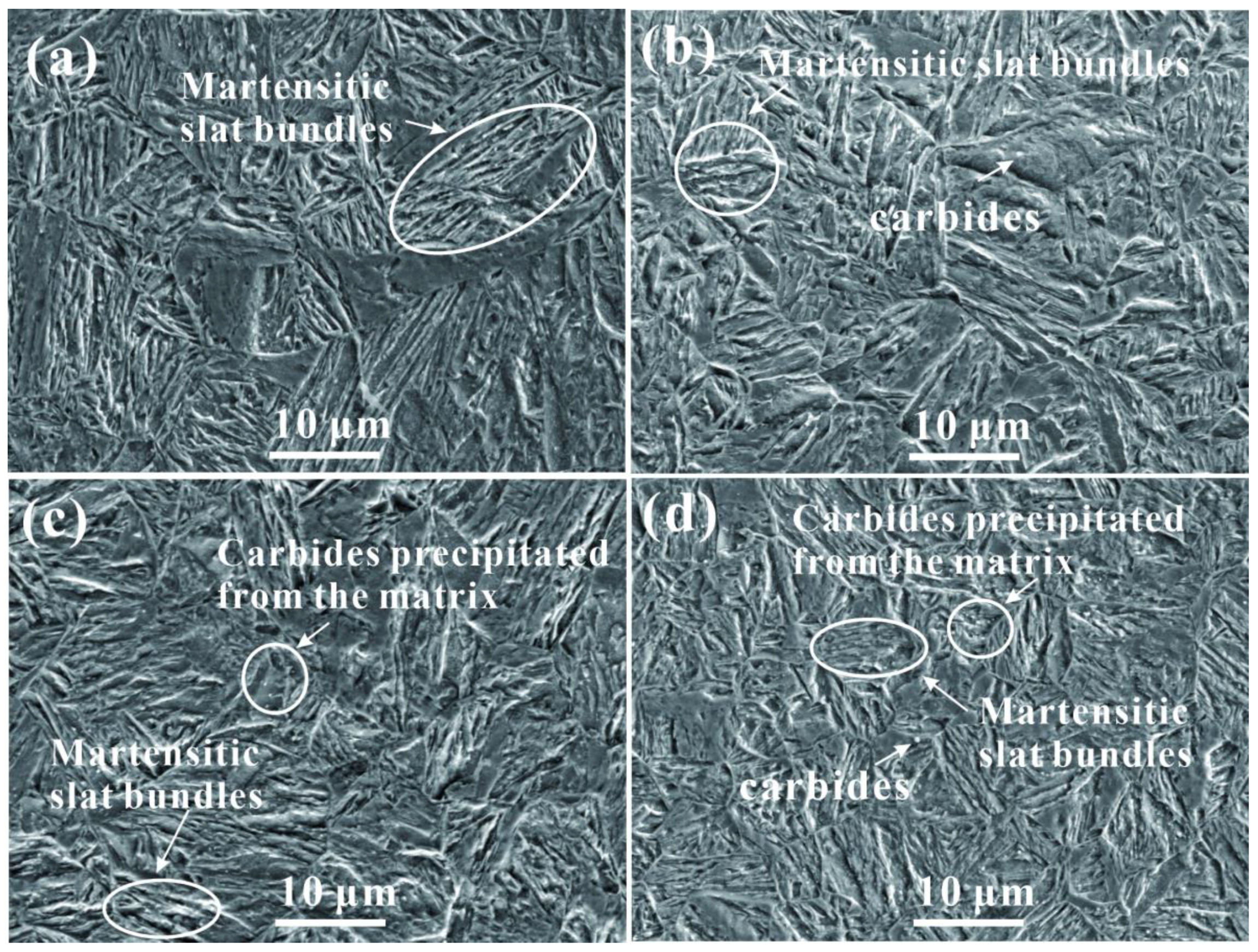 Coatings 12 00281 g005