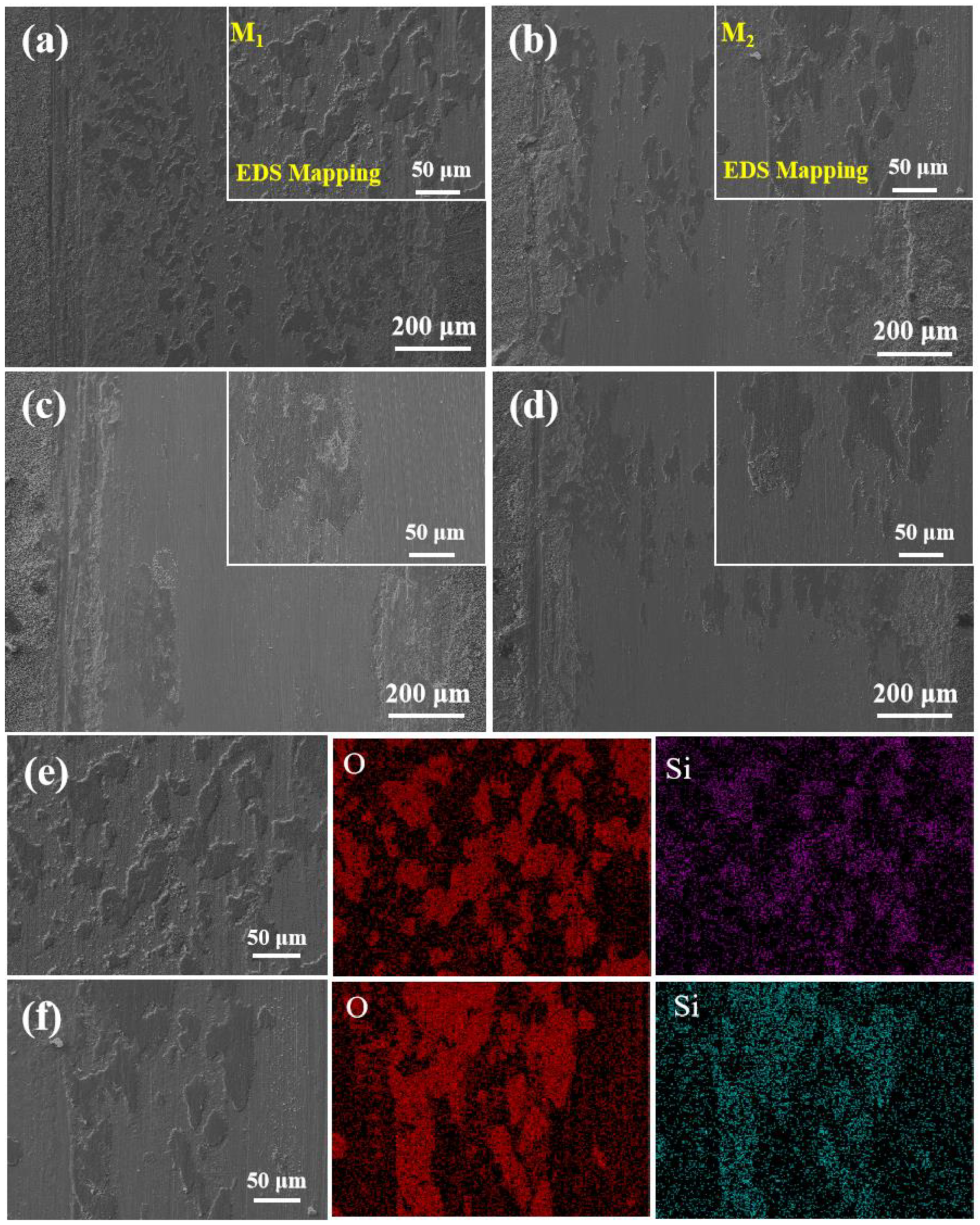Coatings 12 00281 g009