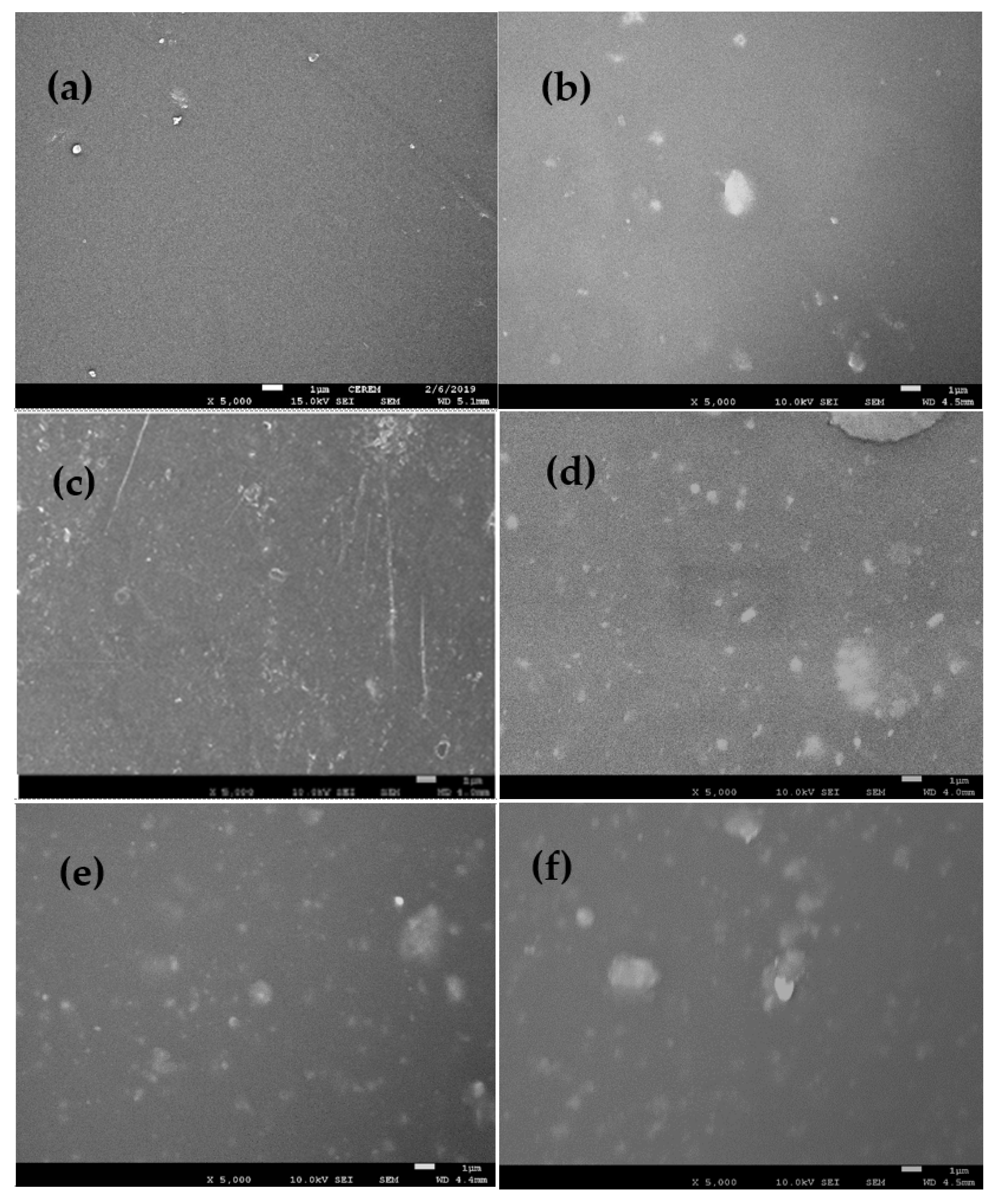 Coatings 12 00282 g001